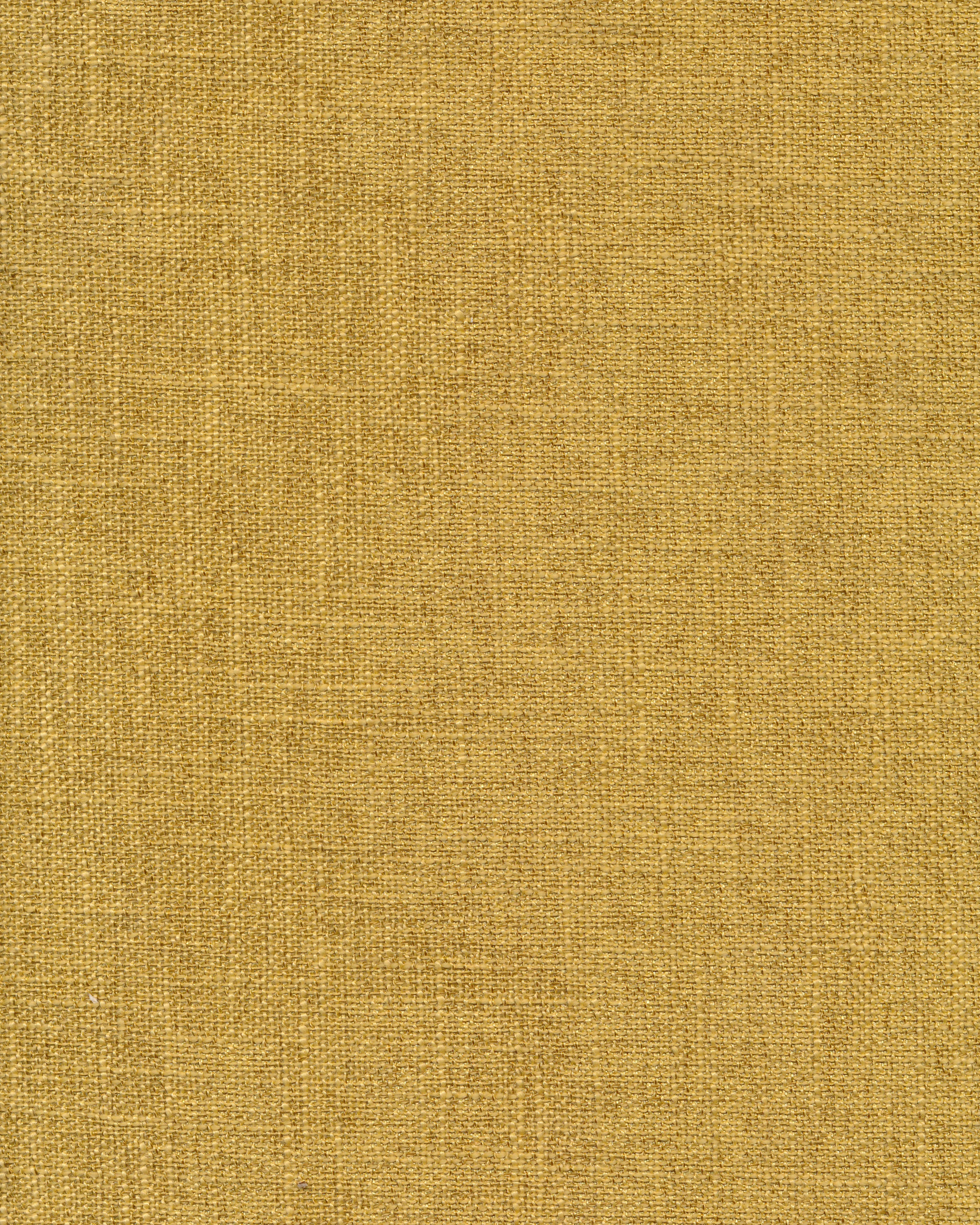 3241_mustard.jpg