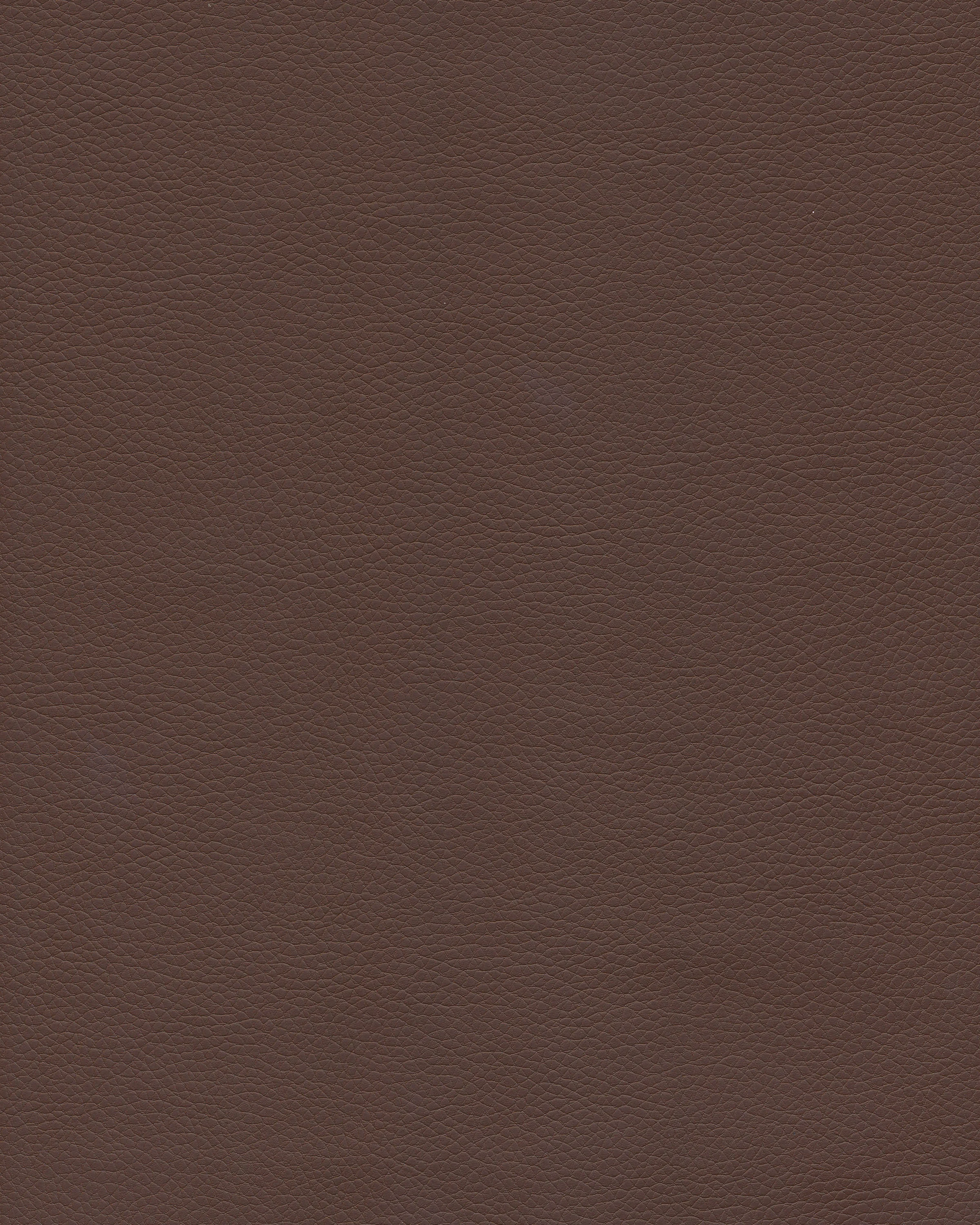 9577_bark.jpg