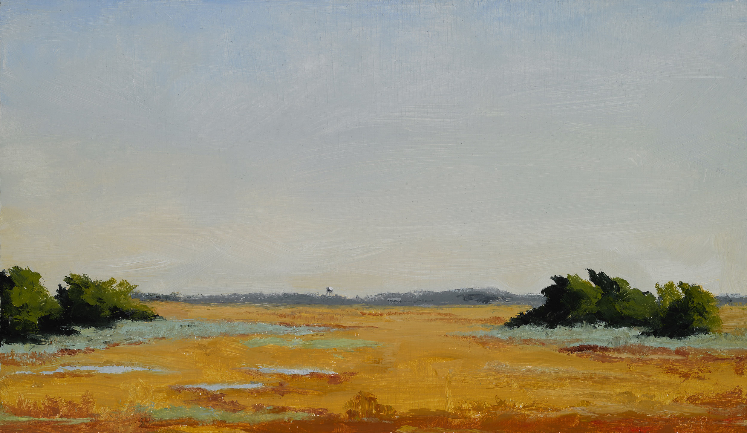   Marsh, Sullivan's Island , Oil on Wood Panel, 2010, 8 1/4" x 14 1/4" 