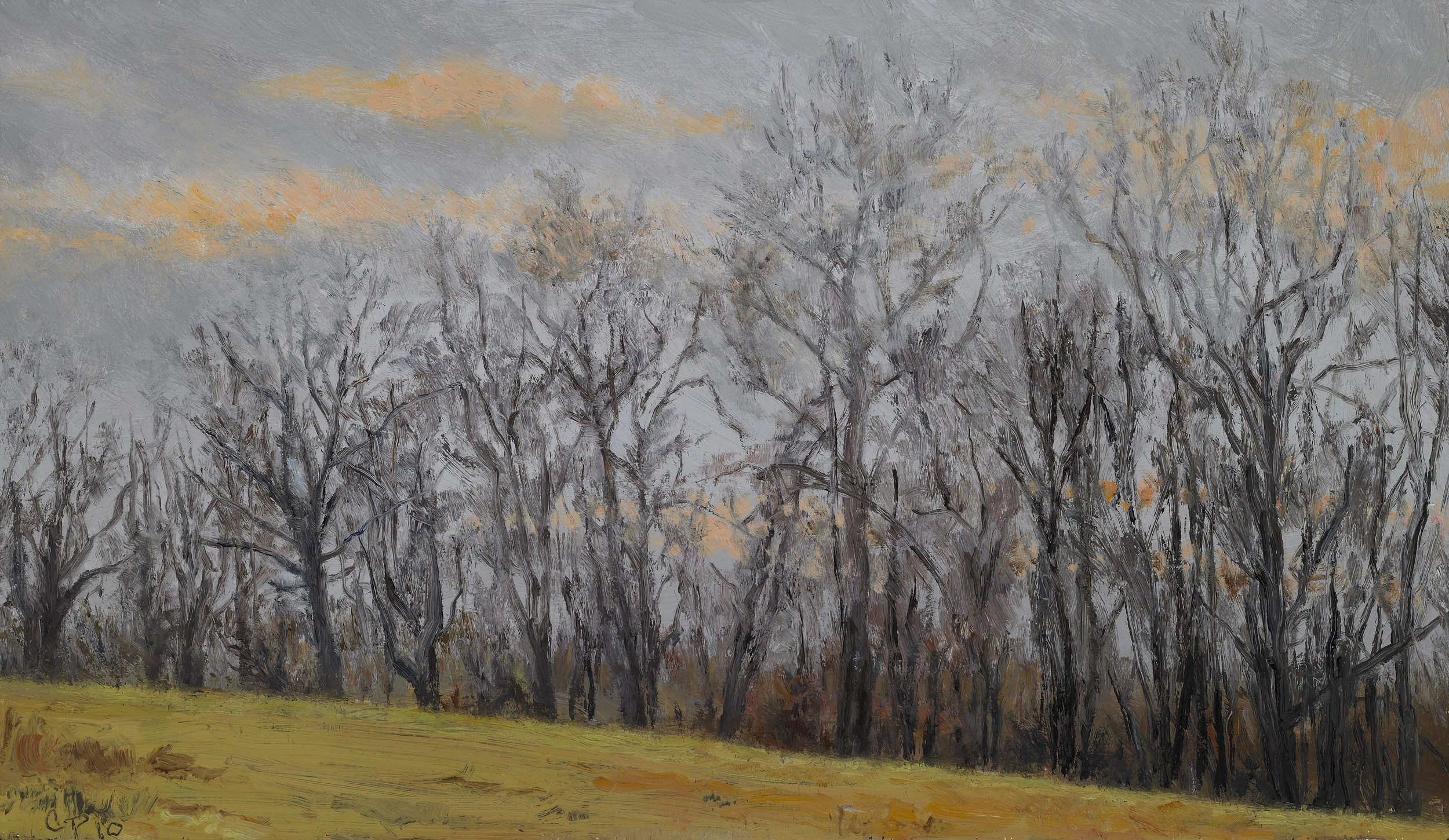  Tree Line , Oil on Wood Panel, 2010, 8 1/4" x 14 1/4" 