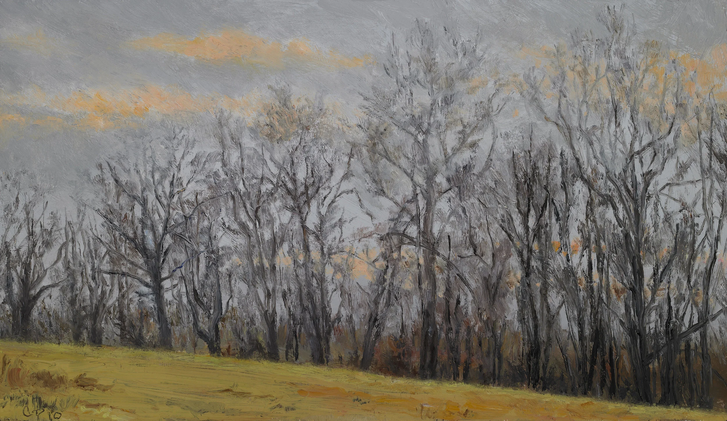Tree Line , Oil on Wood Panel, 2010, 8 1/4" x 14 1/4"