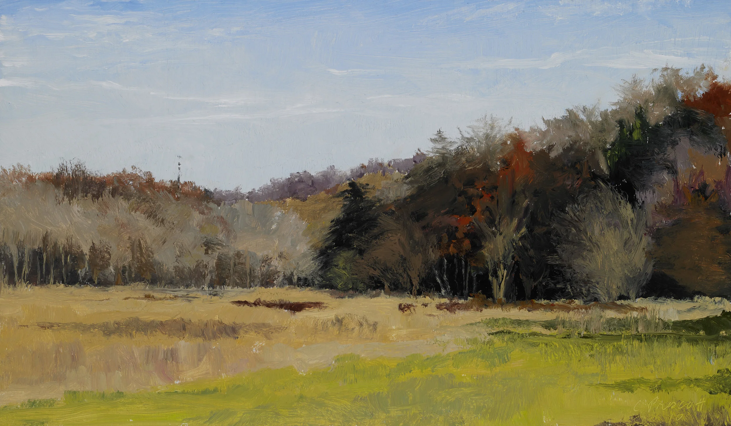 Pennsylvania Field , Oil on Wood Panel, 2010, 8 1/4" x 14 1/4"