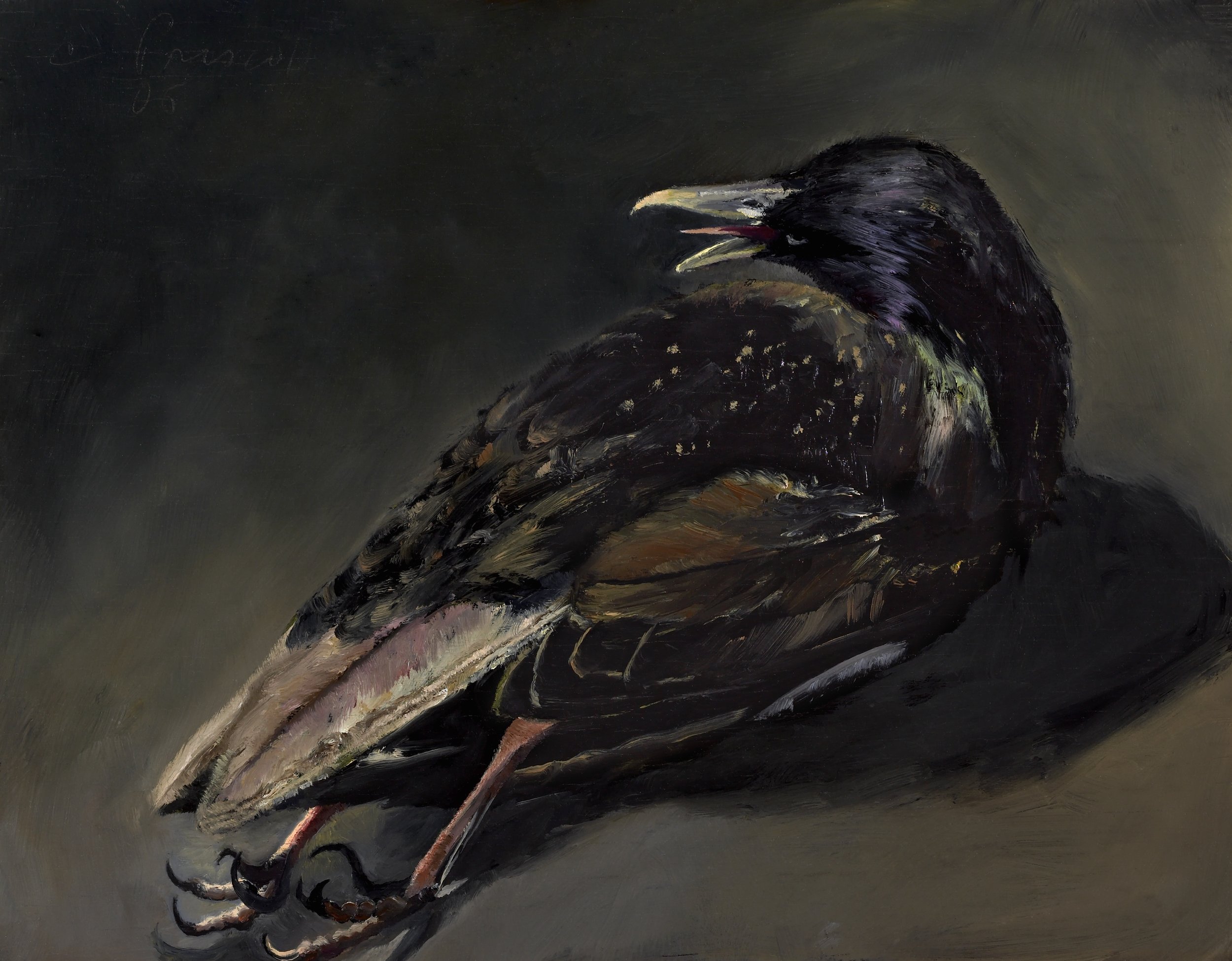   Starling , Oil on Wood Panel, 2006, 7" x 9" 