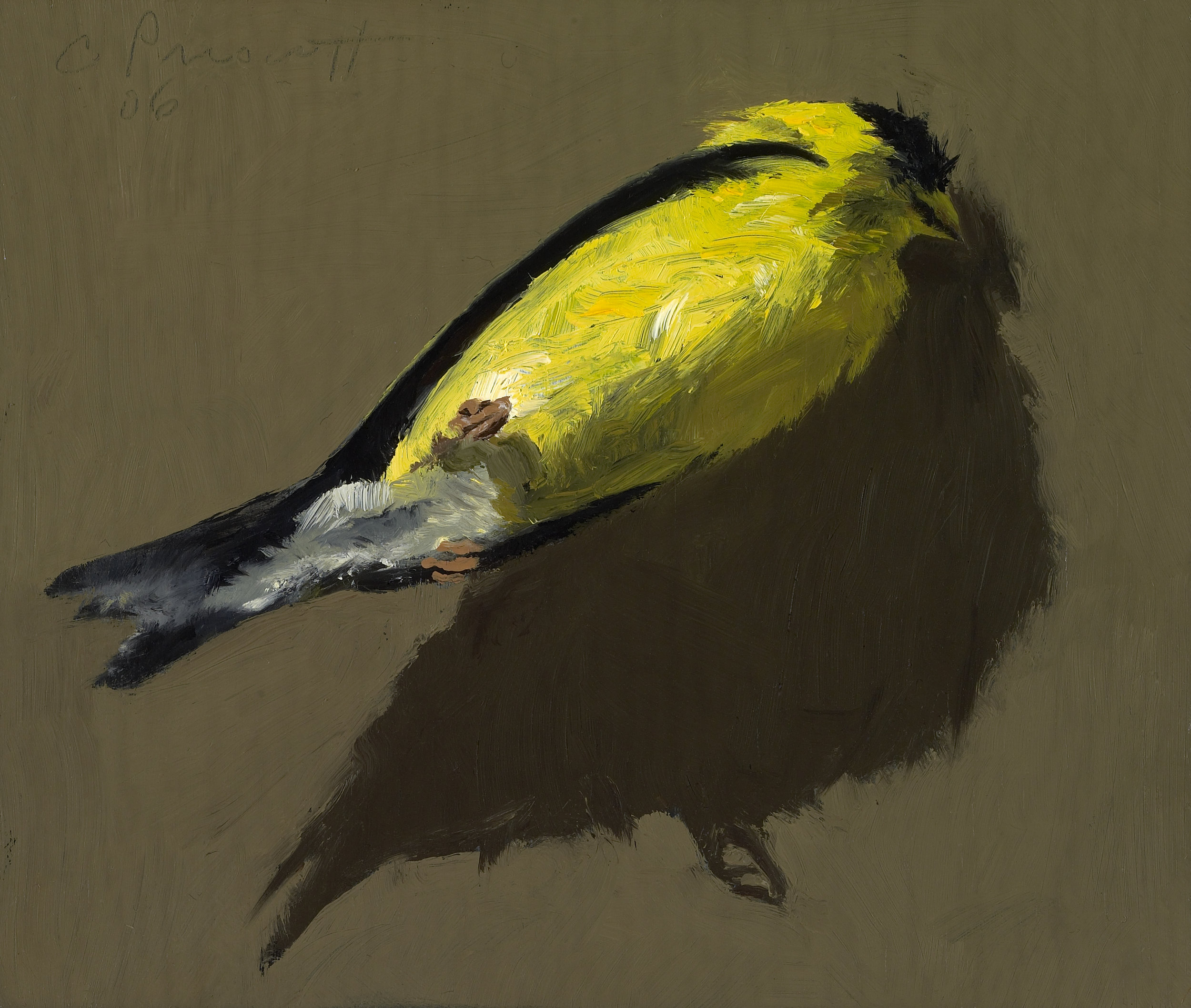  Goldfinch , Oil on Wood Panel, 2006, 5" x 6" 