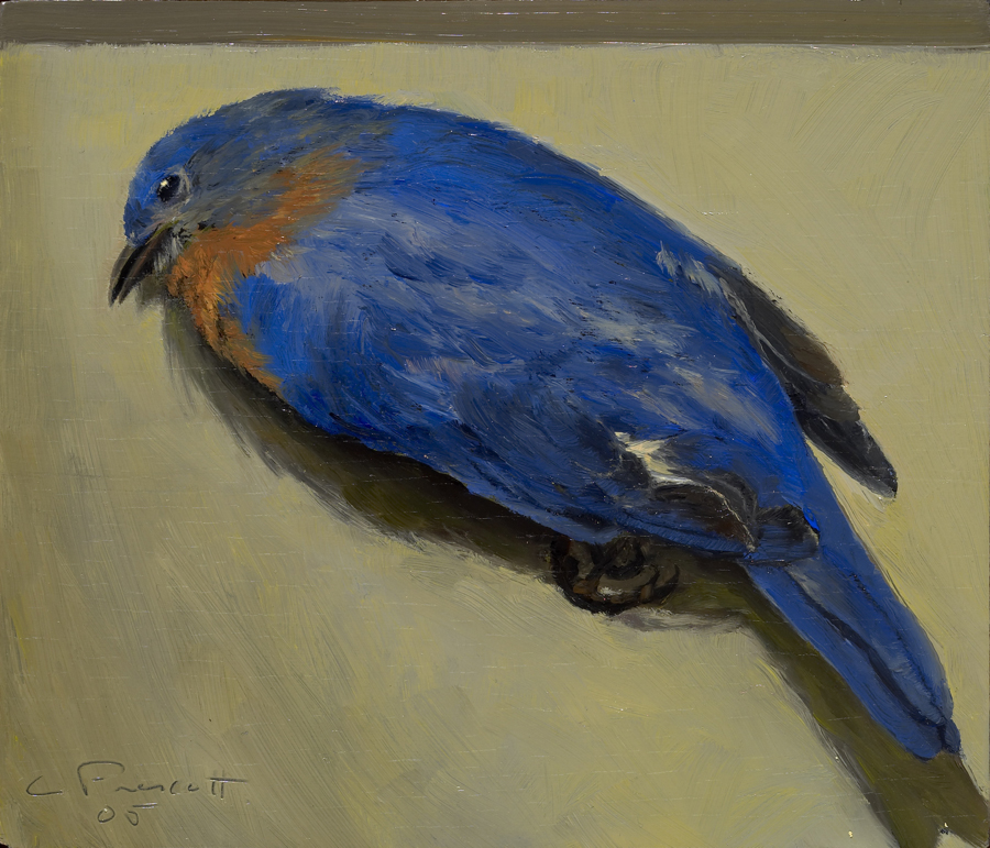   Bluebird , Oil on Wood Panel, 2006, 6" x 7", Private Collection 