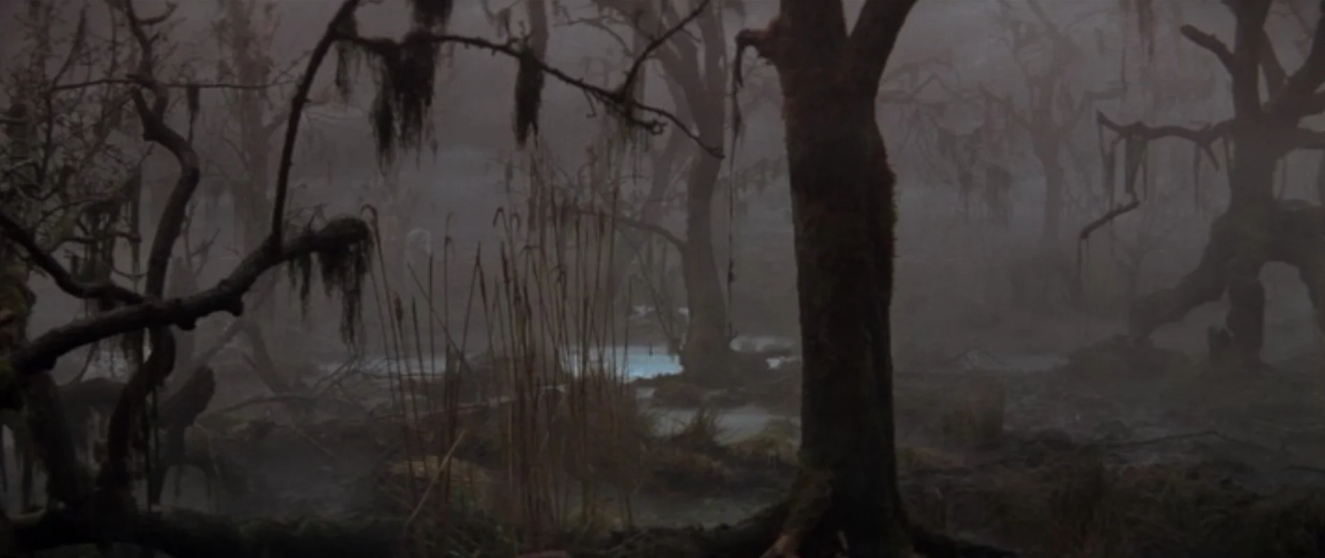 Creatures From the Black Lagoon?