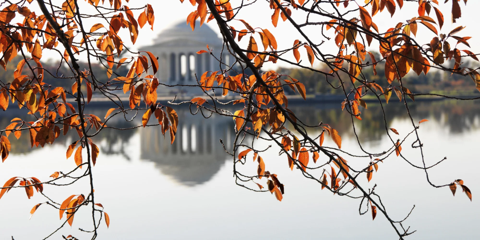 Heading Towards (a) Fall