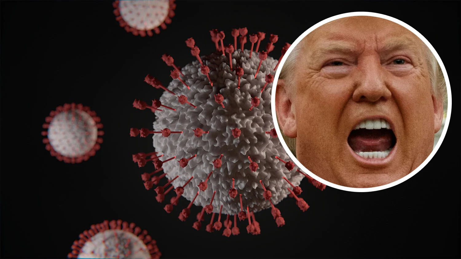 What We Need in the WH: Great Leadership. What We Have: Colossal Misleadership!!