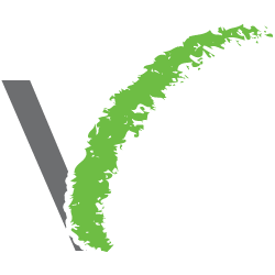 Benveo_Vstroke_logo.png