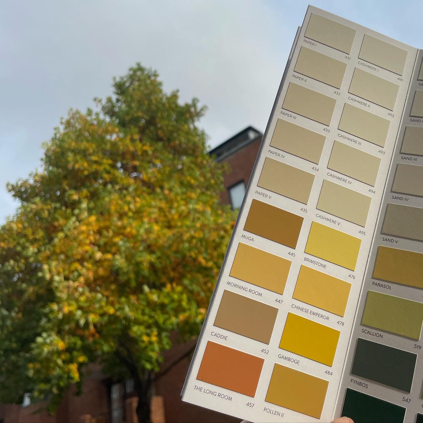 We are LOVING the new additions to the colour chart 😍 Particularly, The Long Room and Pollen II, though that might be because they look like they&rsquo;ve fallen straight from an Autumnal tree 🍁🍂🧡
.
If you want help selecting your next Colour sch