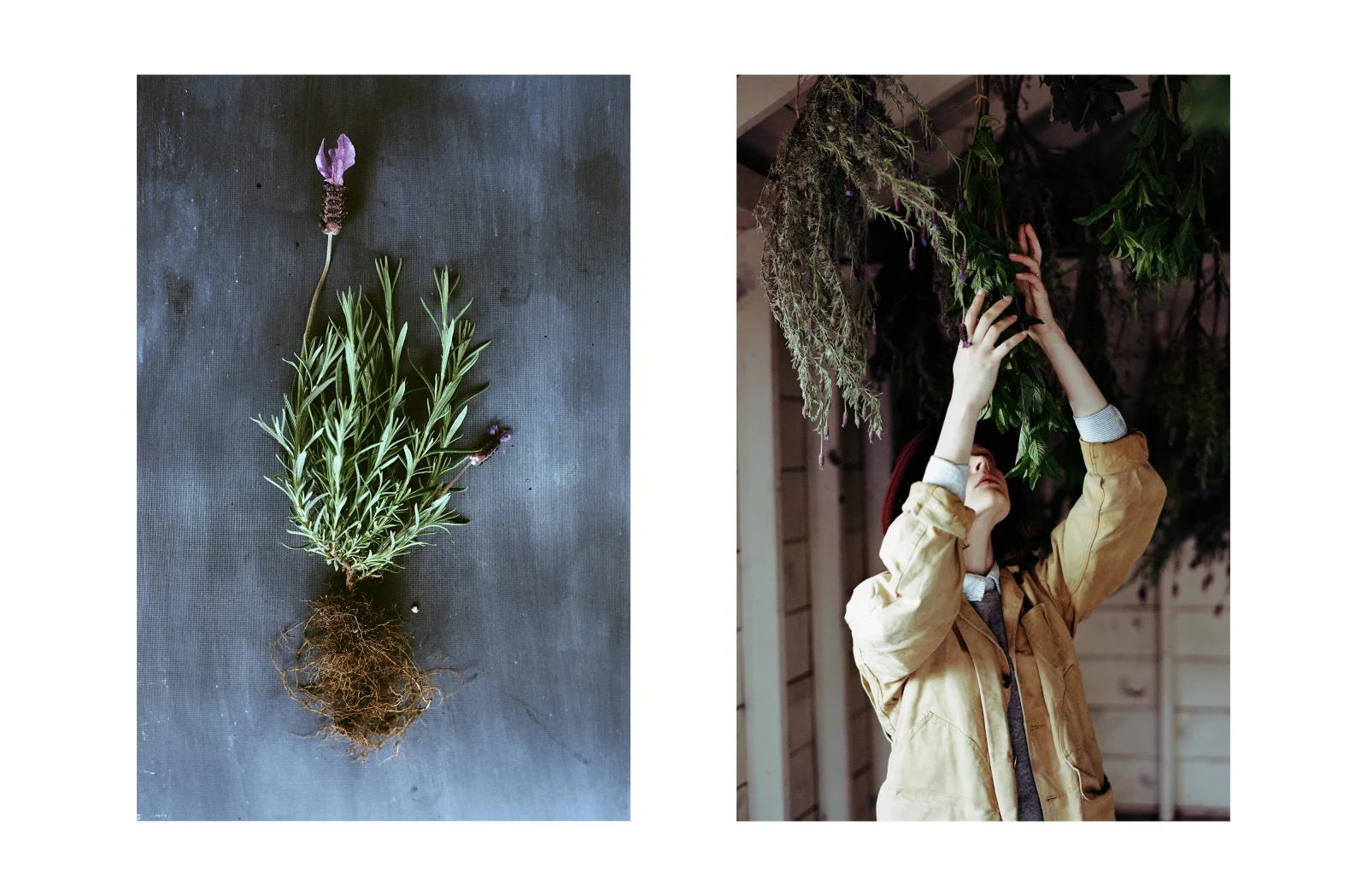 Kinfolk_Mag_2.jpg
