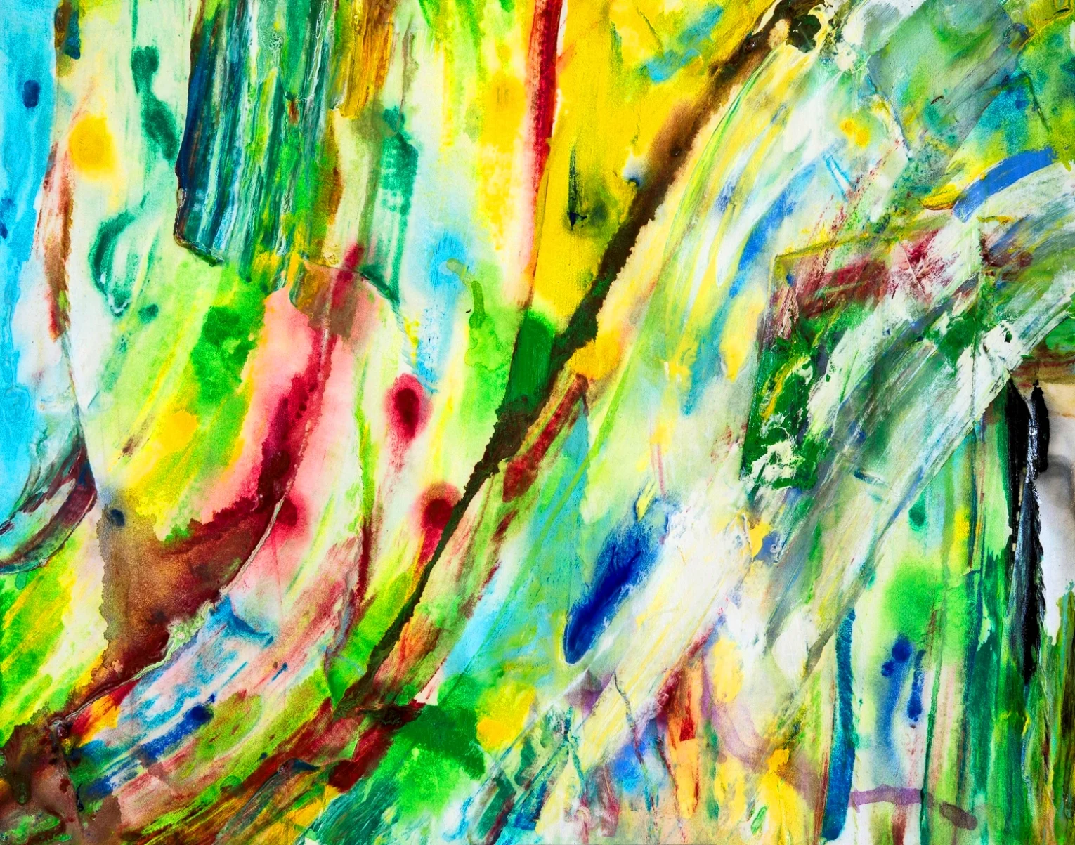 DSC_1920-Edit (2).jpg