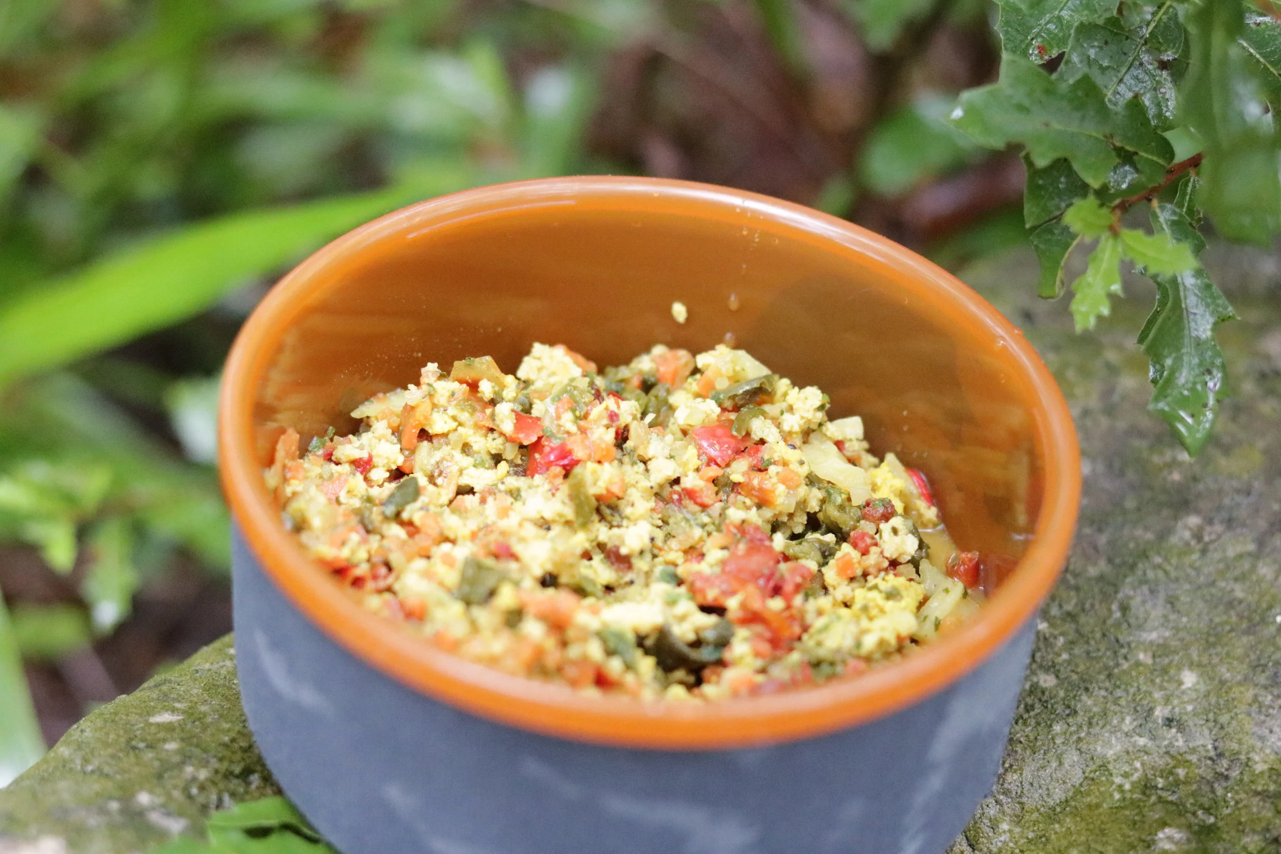 Dehydrated tofu scramble from Outdoor Herbivore