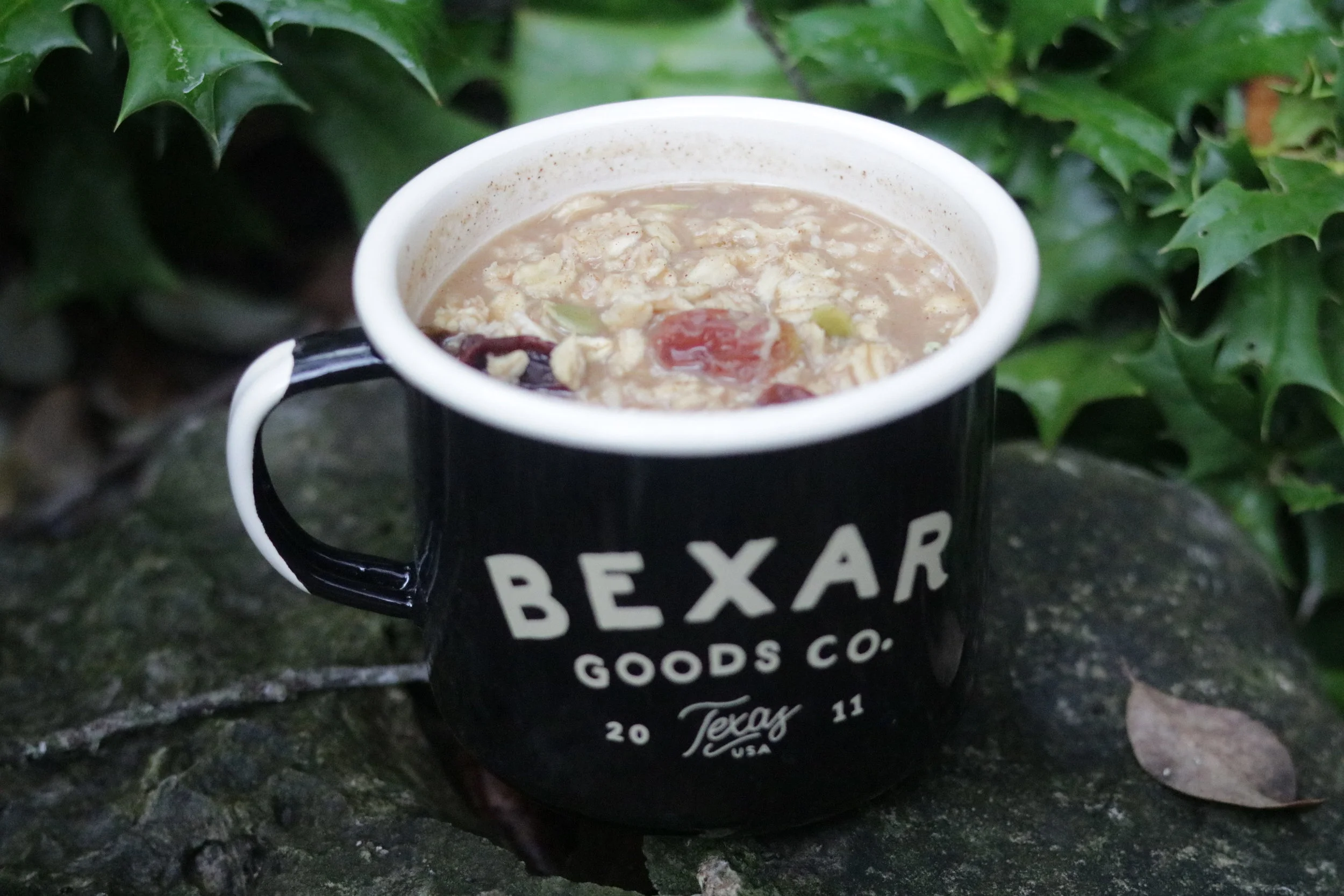 Cinnamon raisin oatmeal…great start to the day