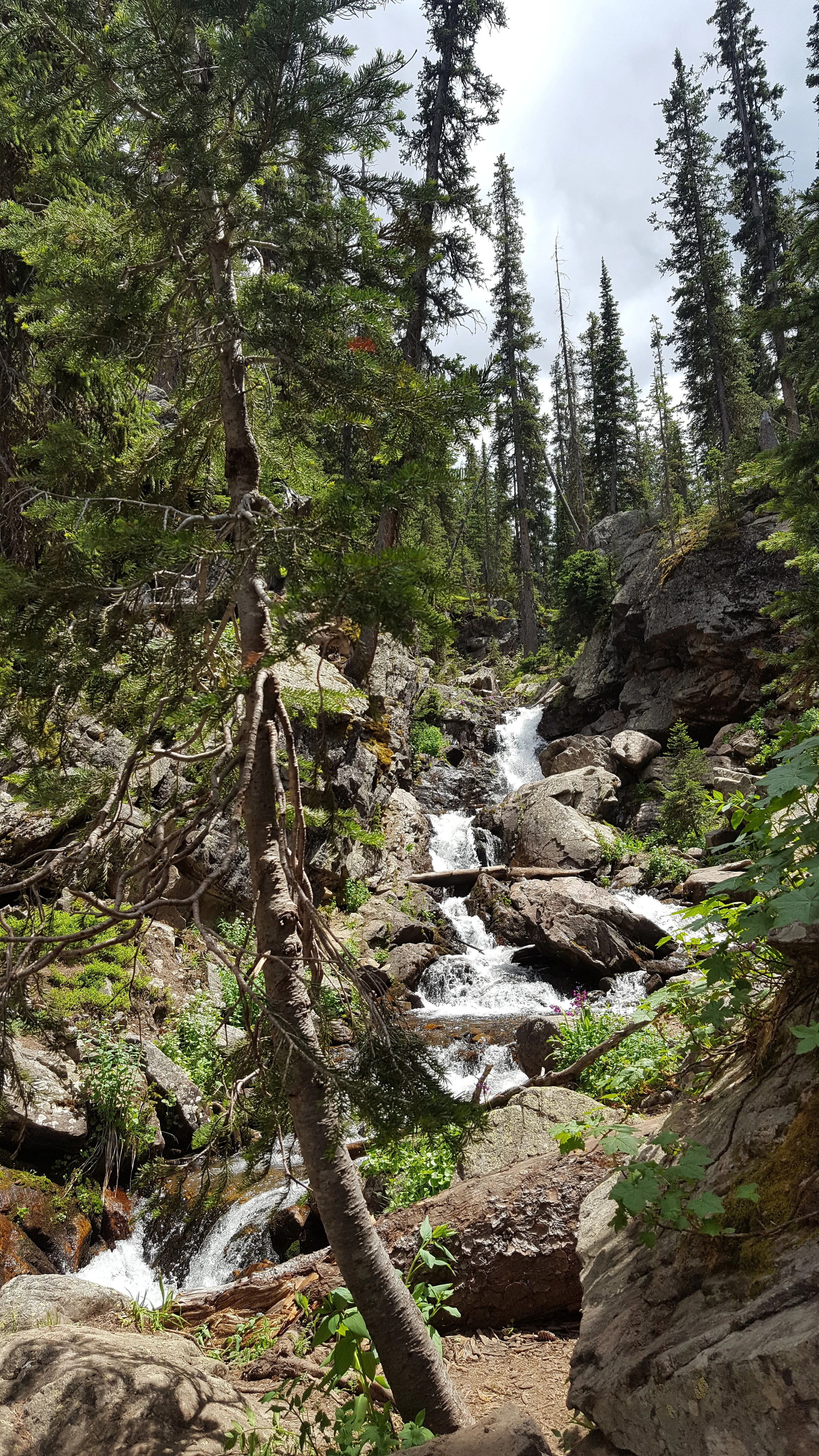 20180706_151014.jpg