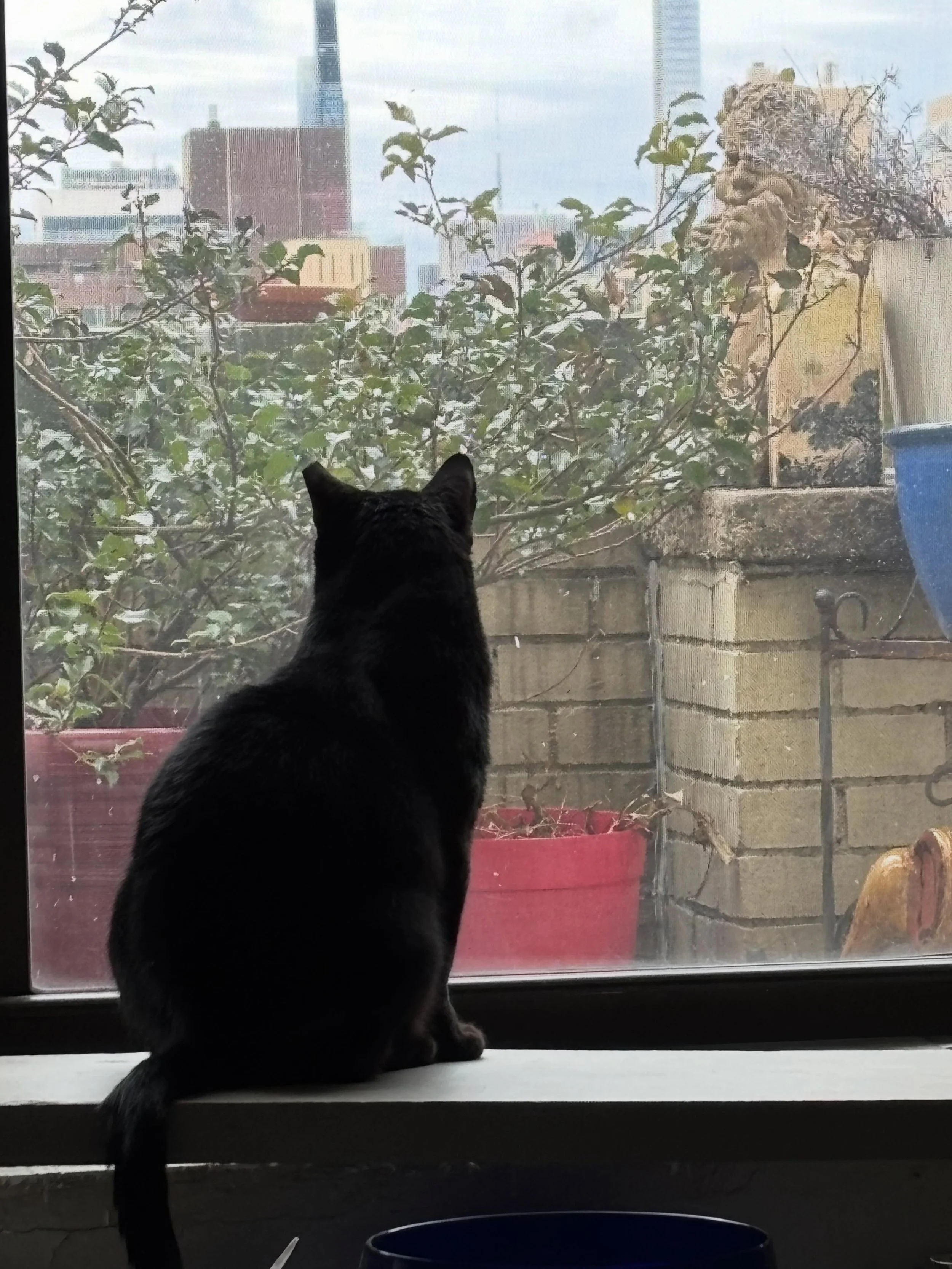 Midnight, looking out his window.
