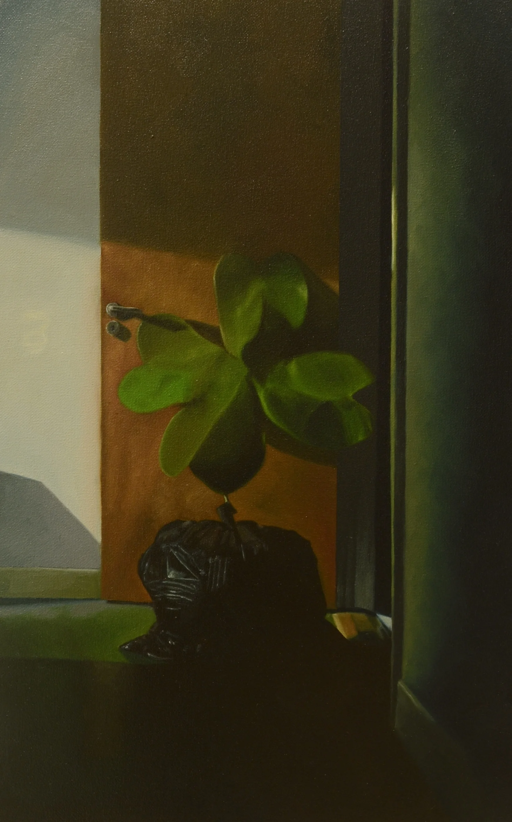 Leaves