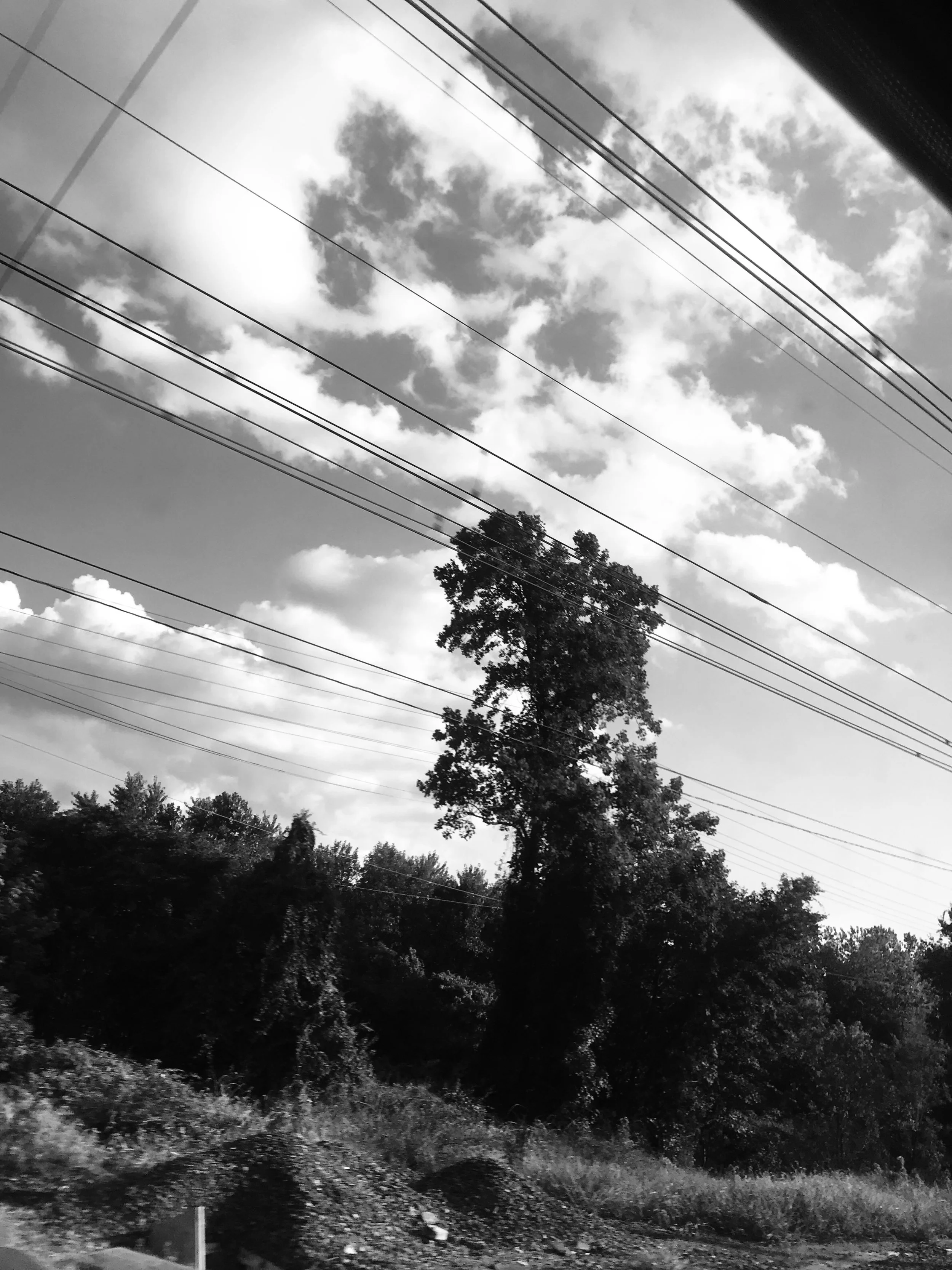 IMG_2298.jpeg