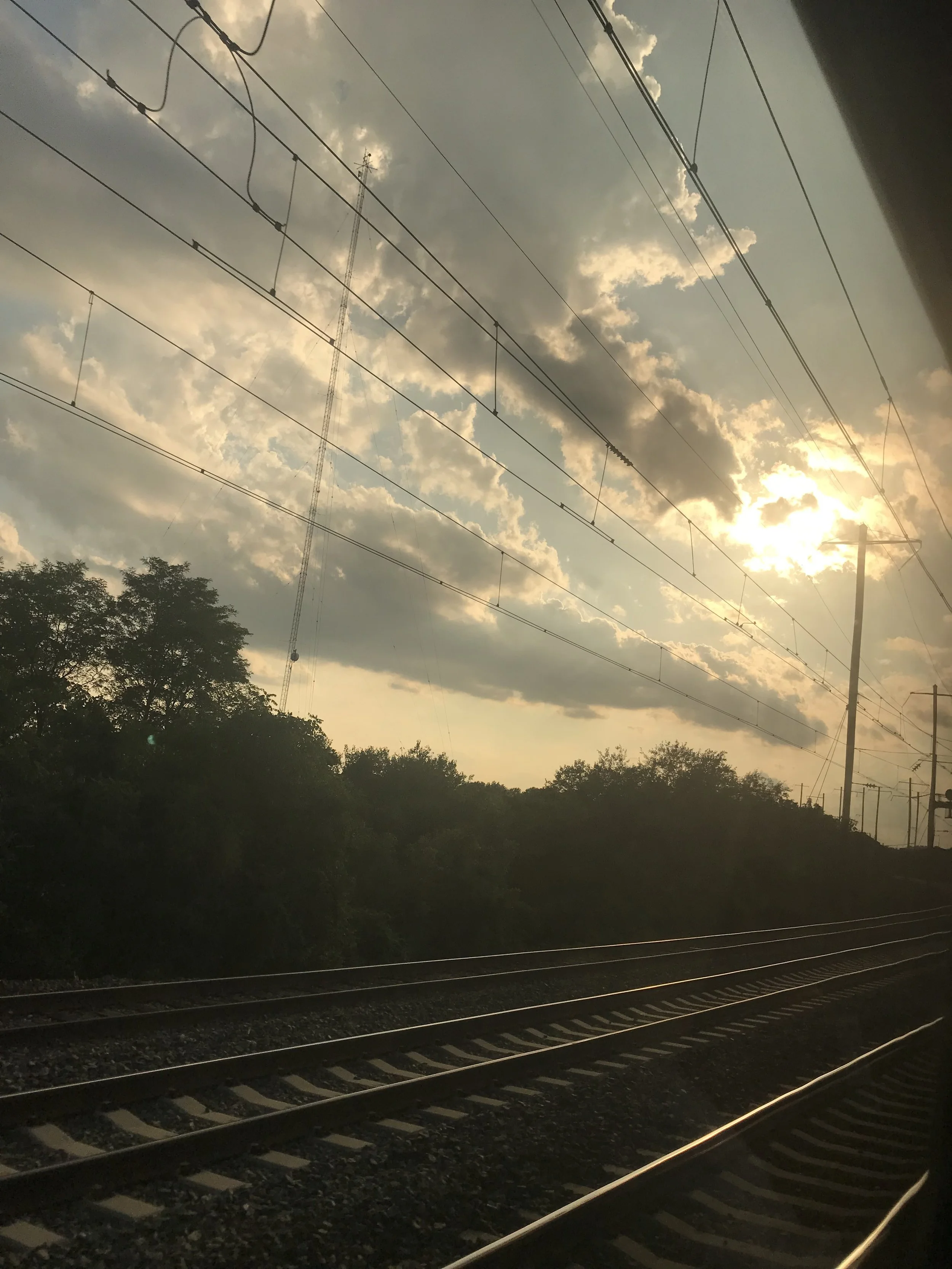 IMG_2354.jpeg