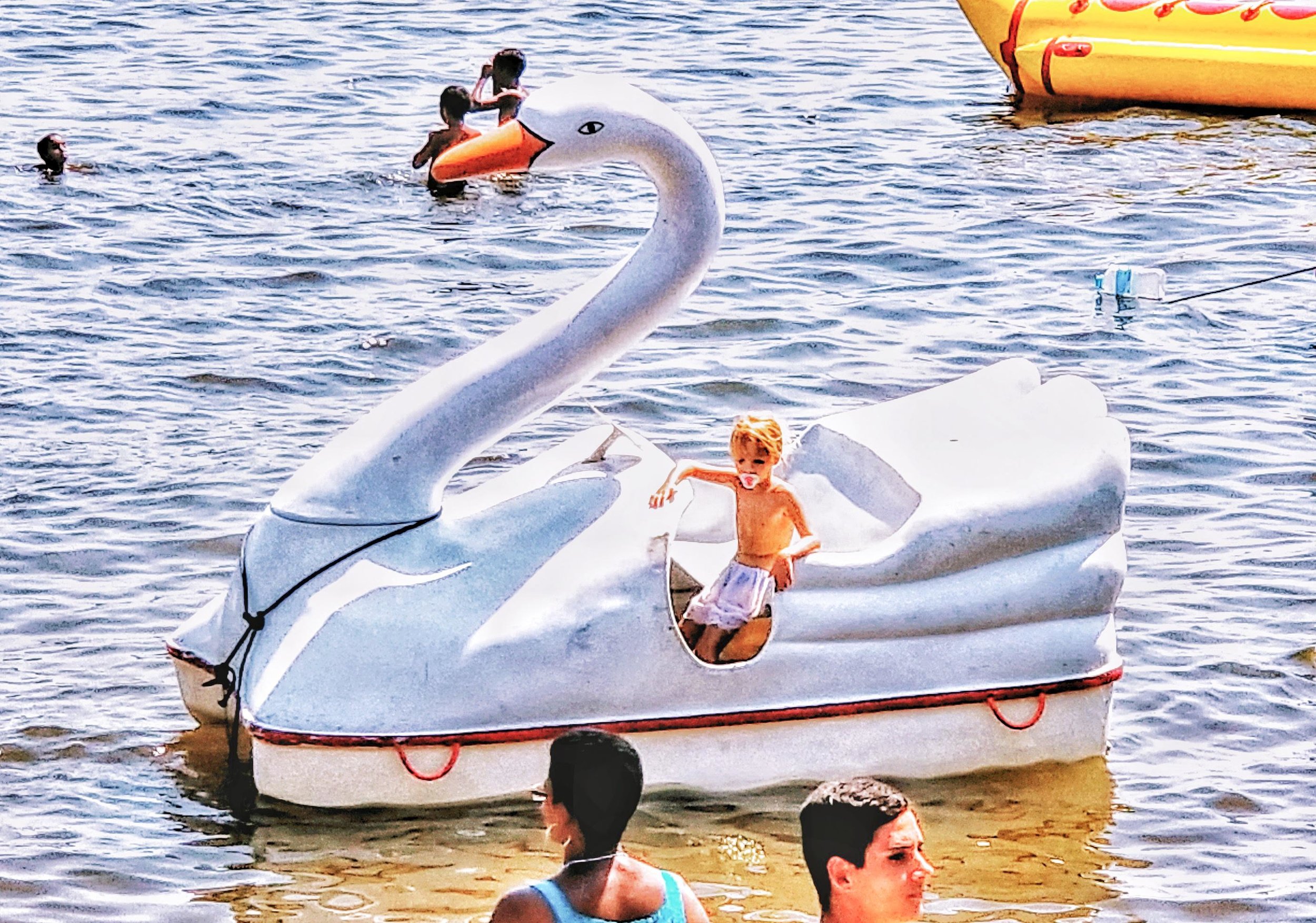 swan.BOAT.jpeg