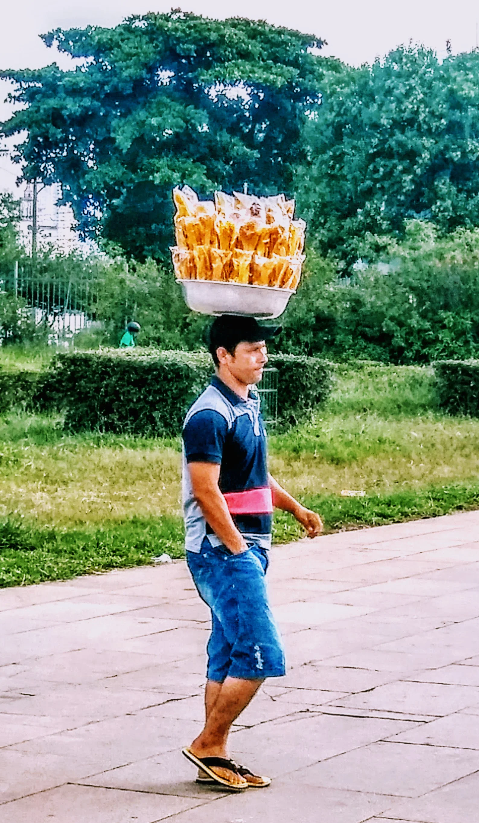 SP.Park.jpg