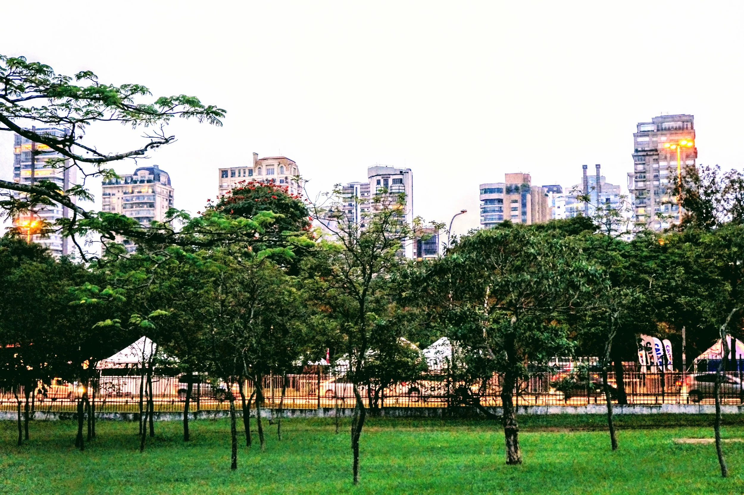 SP.park1.JPG