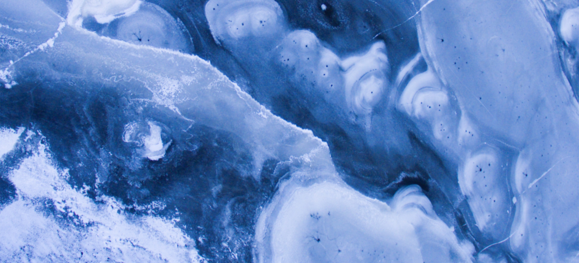 bkgr-blue2.jpg