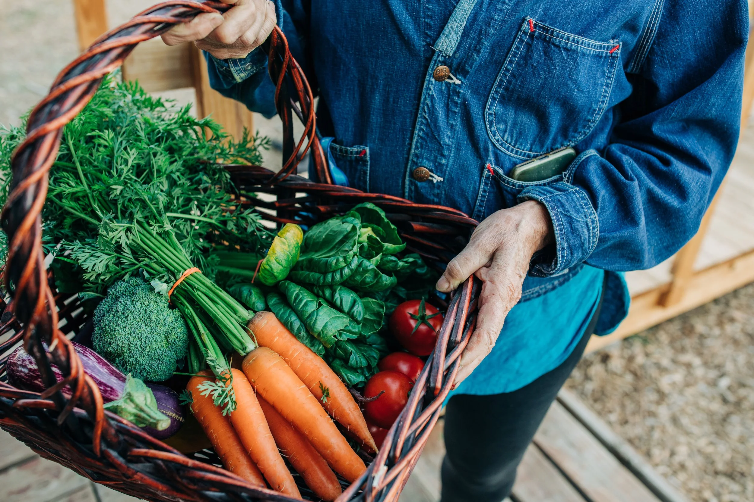 Basket 1-1 smaller.jpg