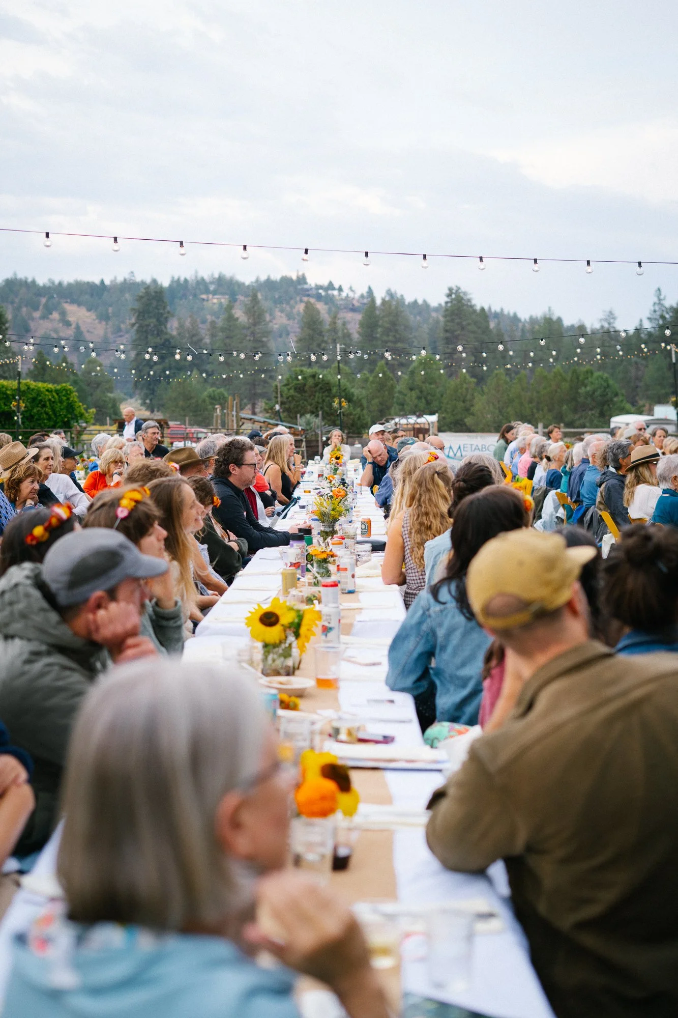 seed-to-table-oregon-sisters-fall-harvest-dinner-2025-CL-126.jpg