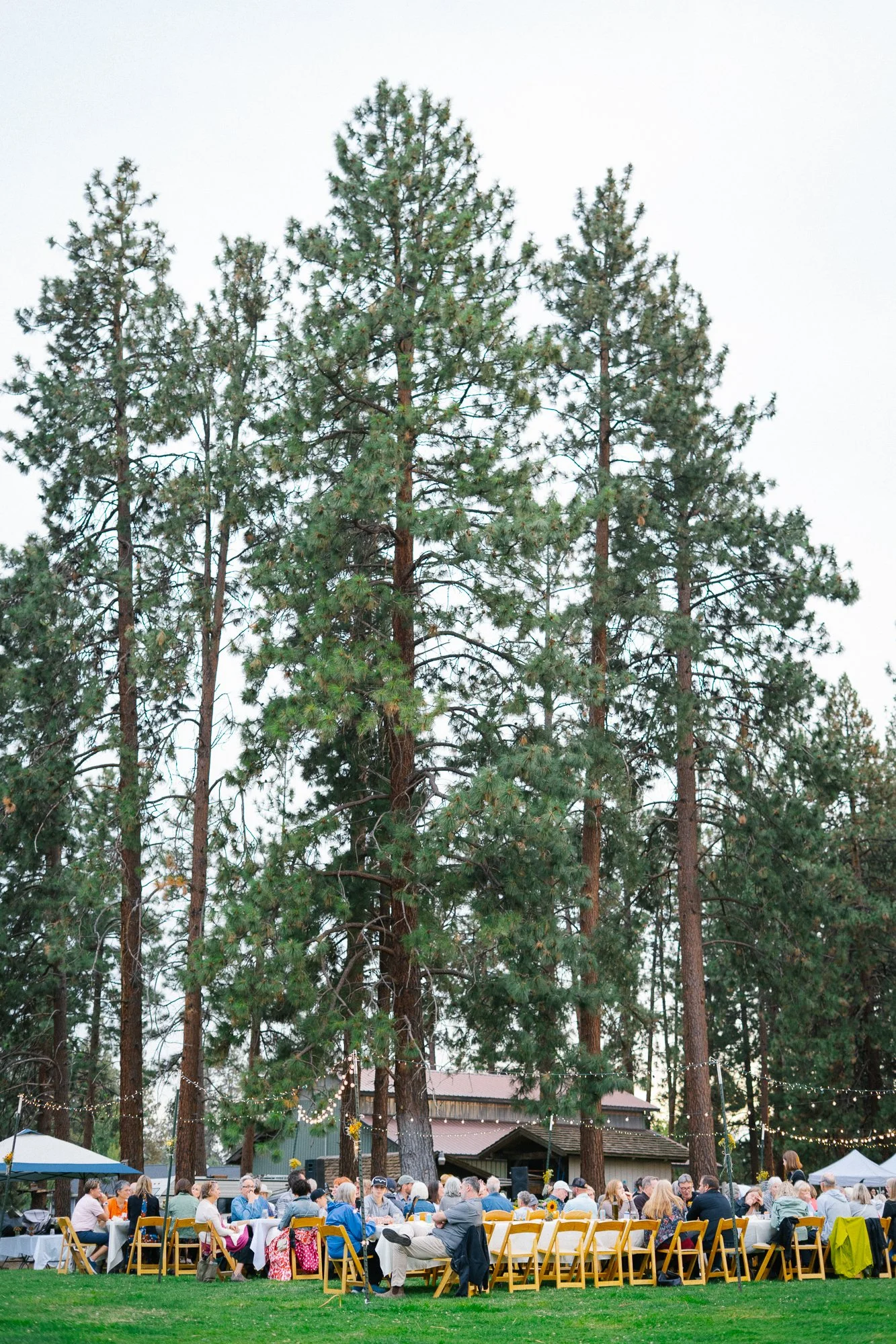 seed-to-table-oregon-sisters-fall-harvest-dinner-2025-CL-157-long-table-dinner.jpg