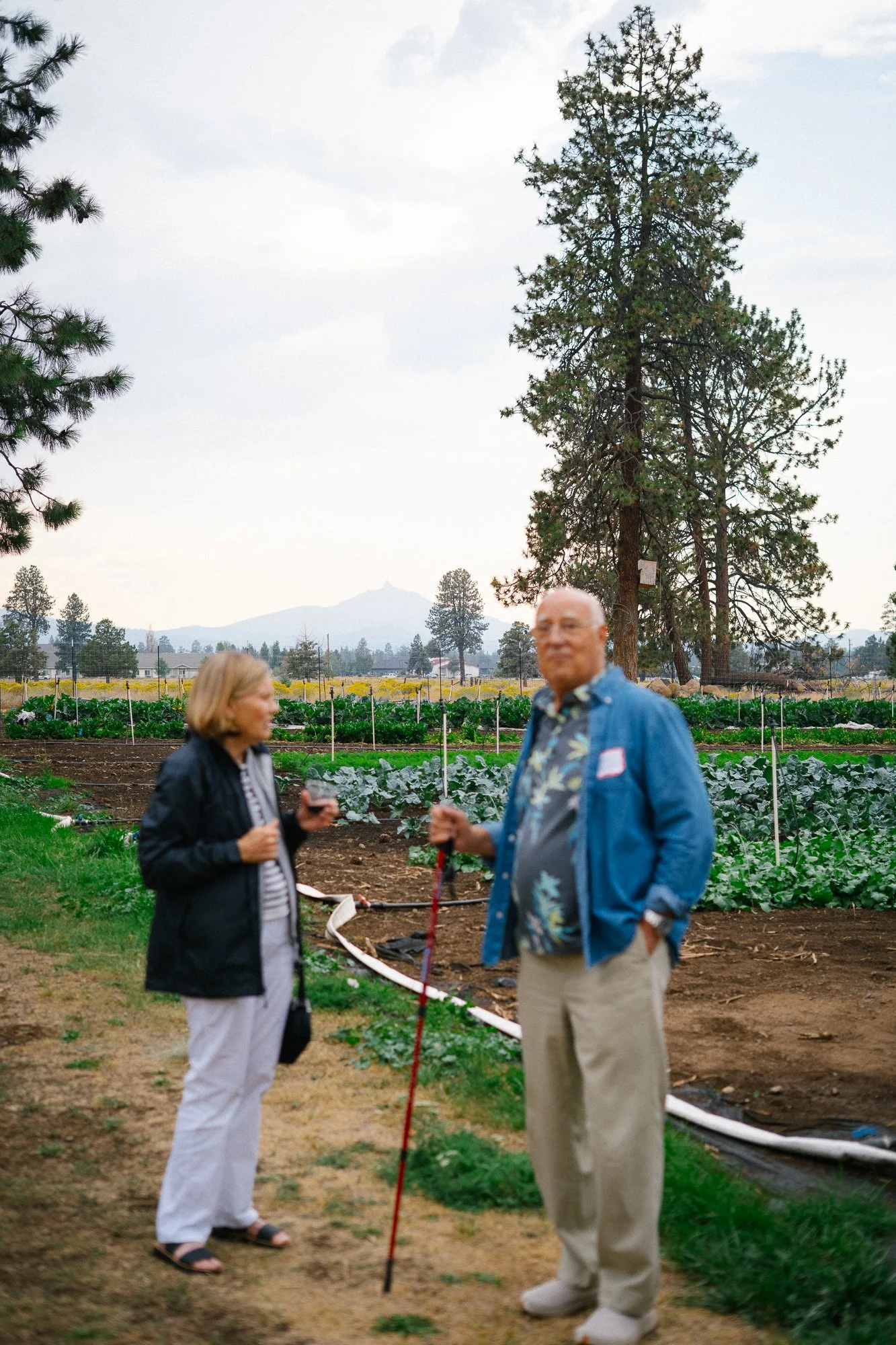 seed-to-table-oregon-sisters-fall-harvest-dinner-2025-CL-61-farm-tour.jpg