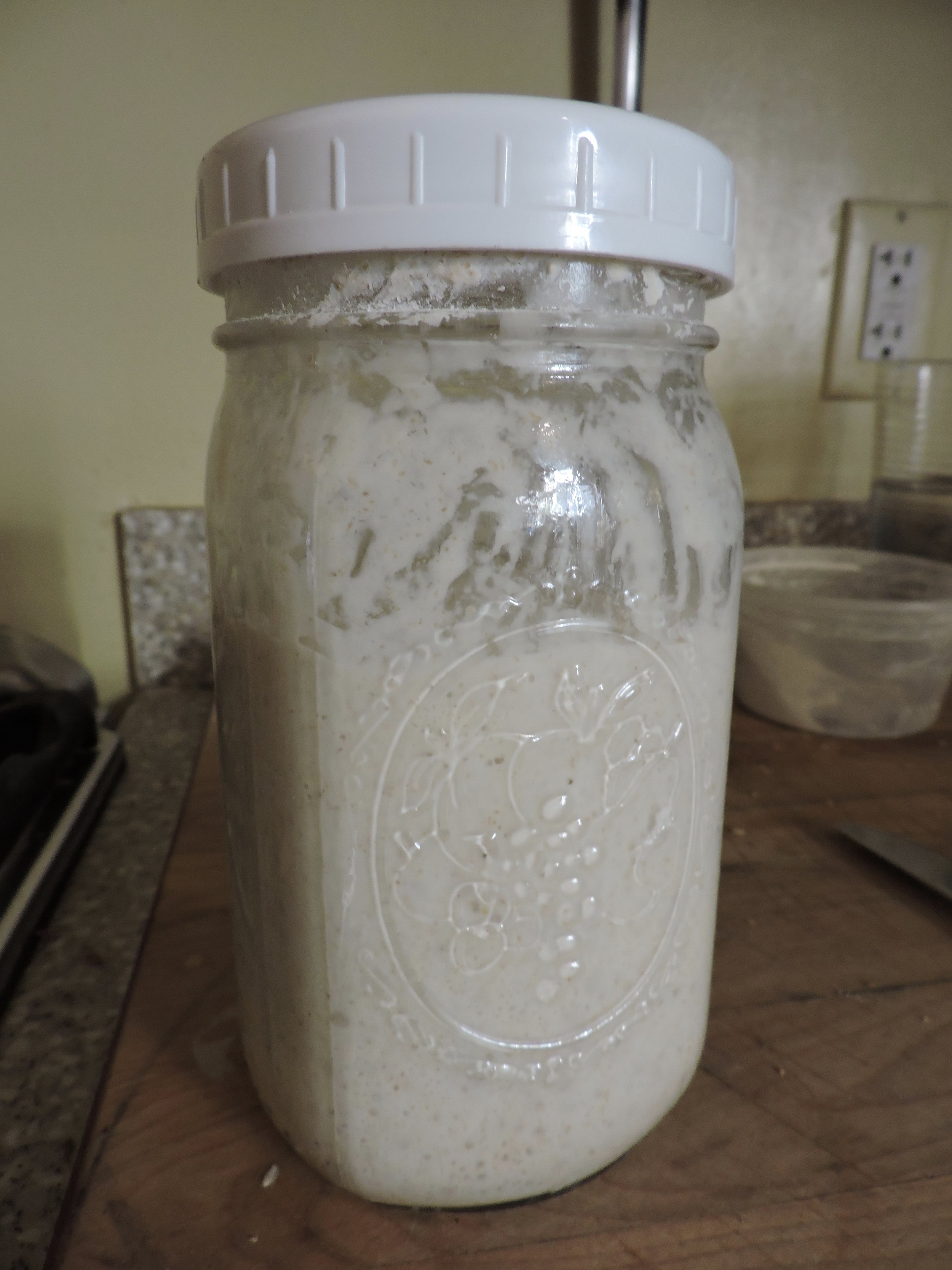 My happy, fed starter the morning of dough making day.