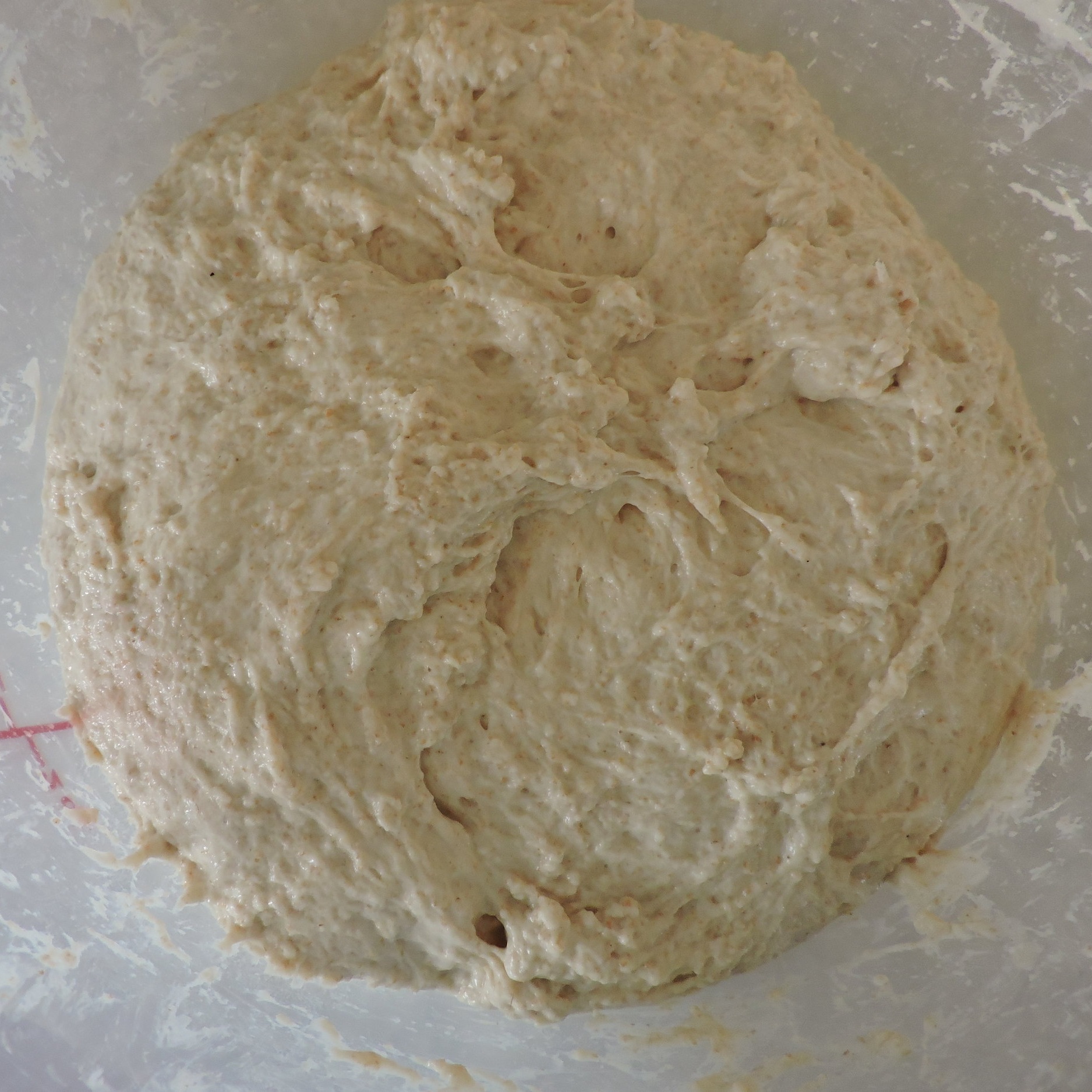  I’ve added the autolyse to the biga, so this is the final dough, thoroughly mixed.  