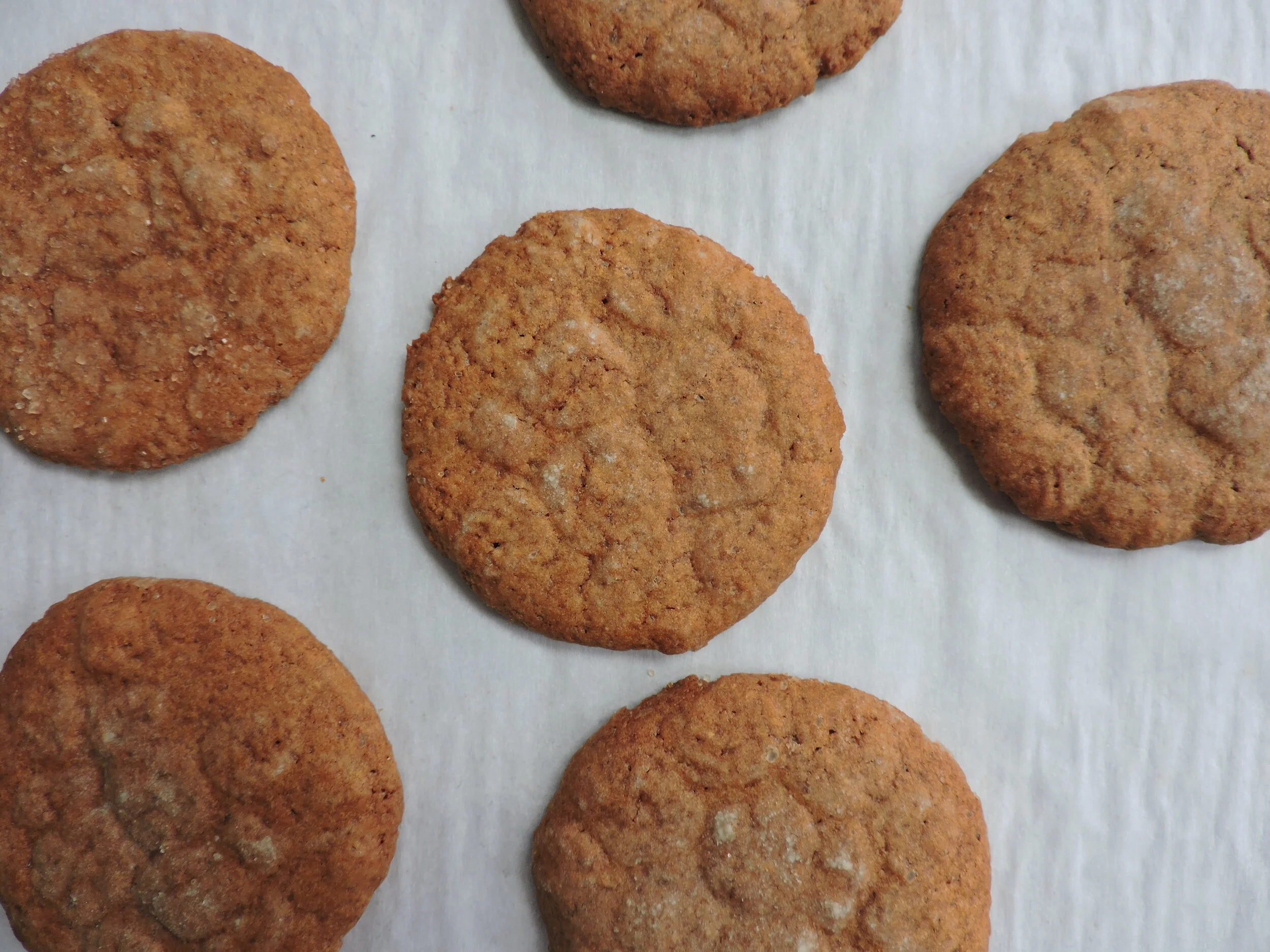 graham cookies + a wonderful baking tool — Beneath the Crust