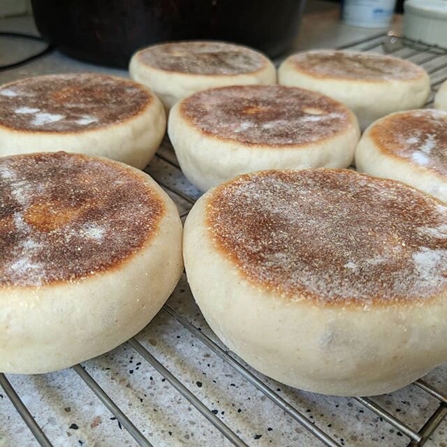 Let's see if these can stick around long enough for tomorrow's breakfast sandwiches. Sourdough English muffins. Find the recipe in our archives! #beneaththecrust #sourdoughenglishmuffins