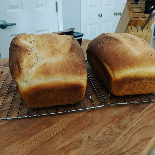 You can bake all your bread and still get a hideous monster like that loaf on the left. Maybe a screaming toddler was climbing at your legs while you shaped that loaf? 🙋 Maybe it's hot and humid and your dough went crazy? 🙋 Maybe you've shaped a th