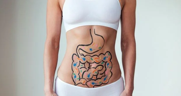 Gut Check