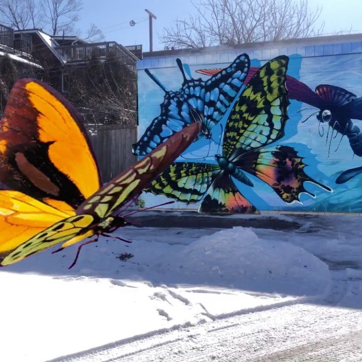 Big Wi(n)gs 
AR animation by karen darricades. 
Original Mural by @nick_sweetman and  @cmazzulla 
This work can be viewed at Art Eggleton Park, Toronto
.
.
.
#augmentedreality #muralart #outdoorart #toronto #freeart #digitalart #butterflylaneway #dav