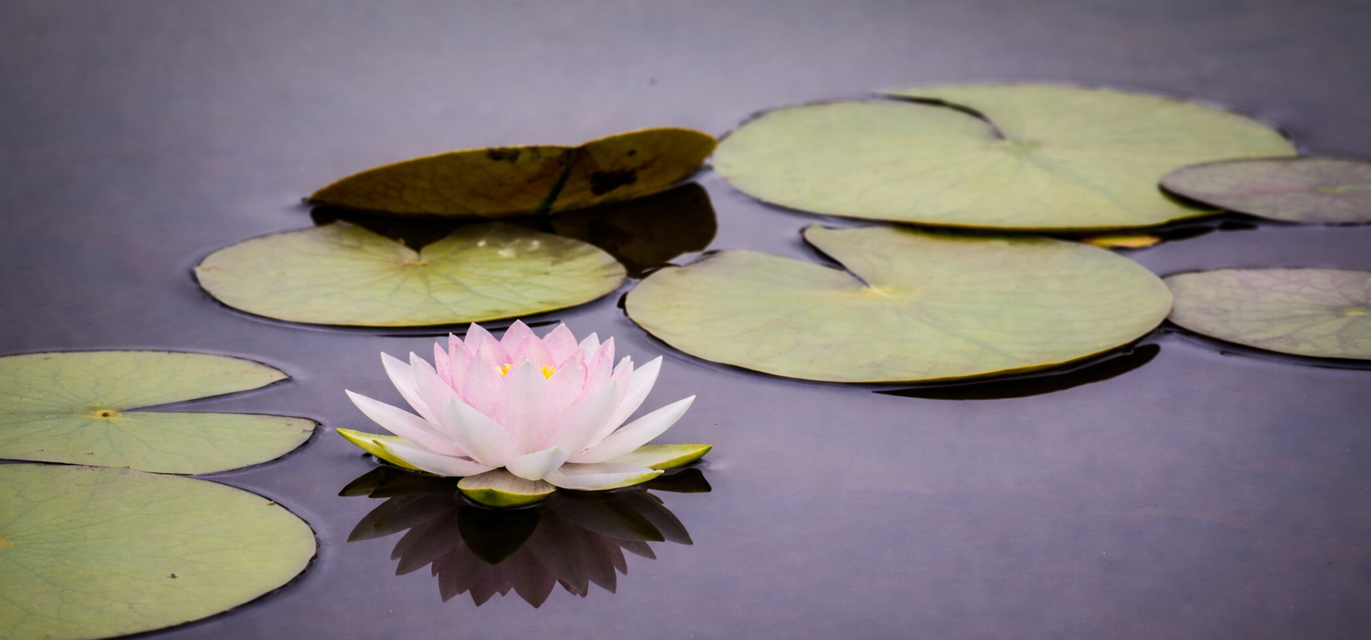 1223f5ce-1557-498b-a860-0da1f4aa55a7.png
