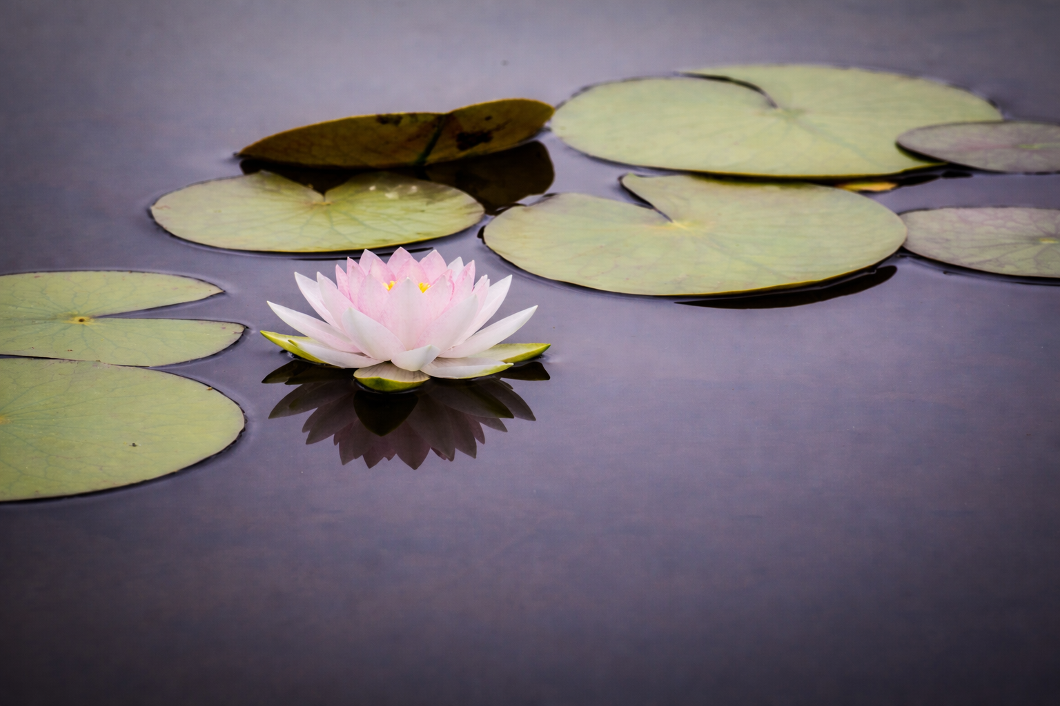 1223f5ce-1557-498b-a860-0da1f4aa55a7.png