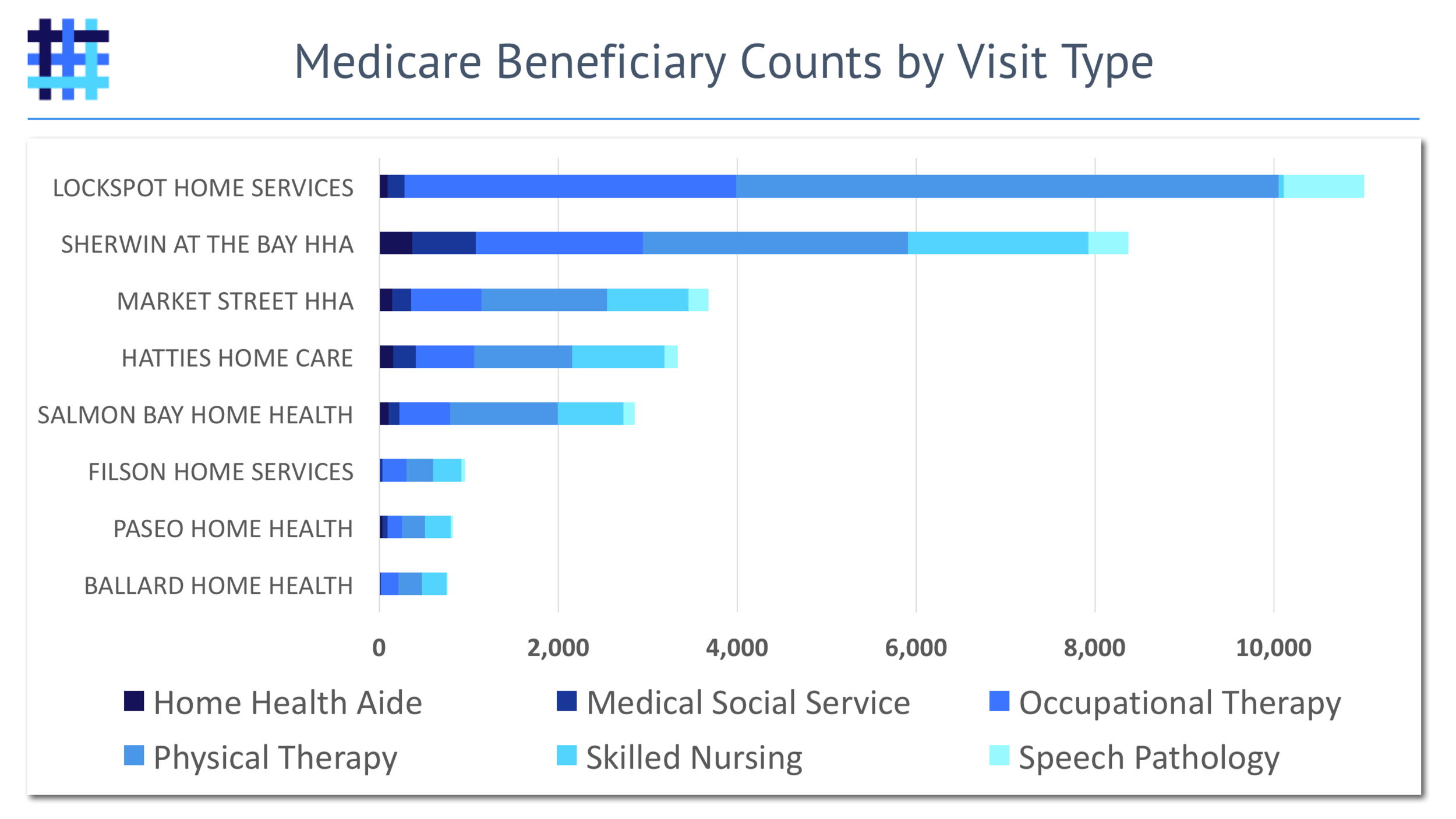 Home Health Agency (HHA) Medicare Beneficiary Visits by Type