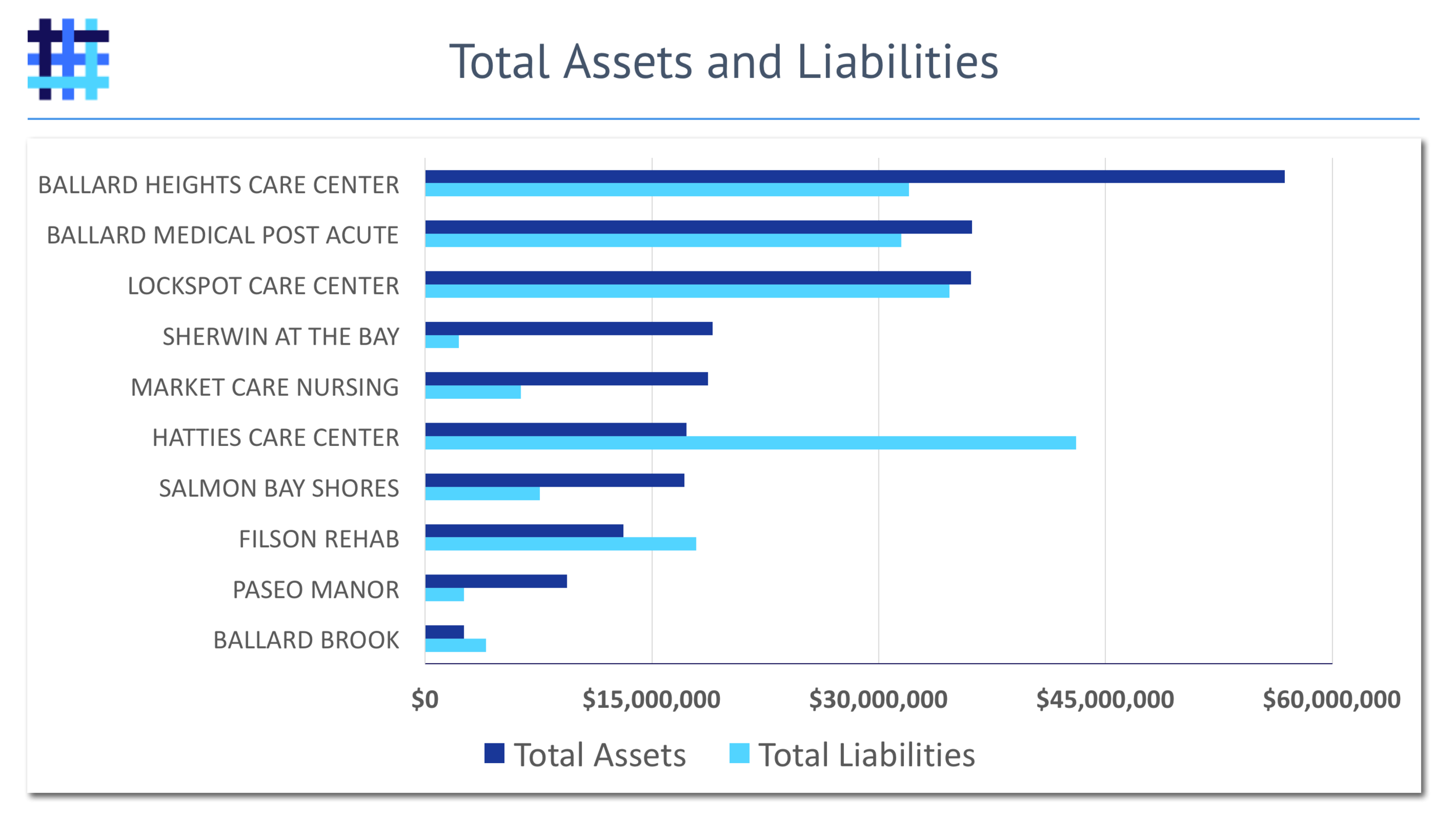 Nursing Home and Skilled Nursing Facility Assets and Liabilities