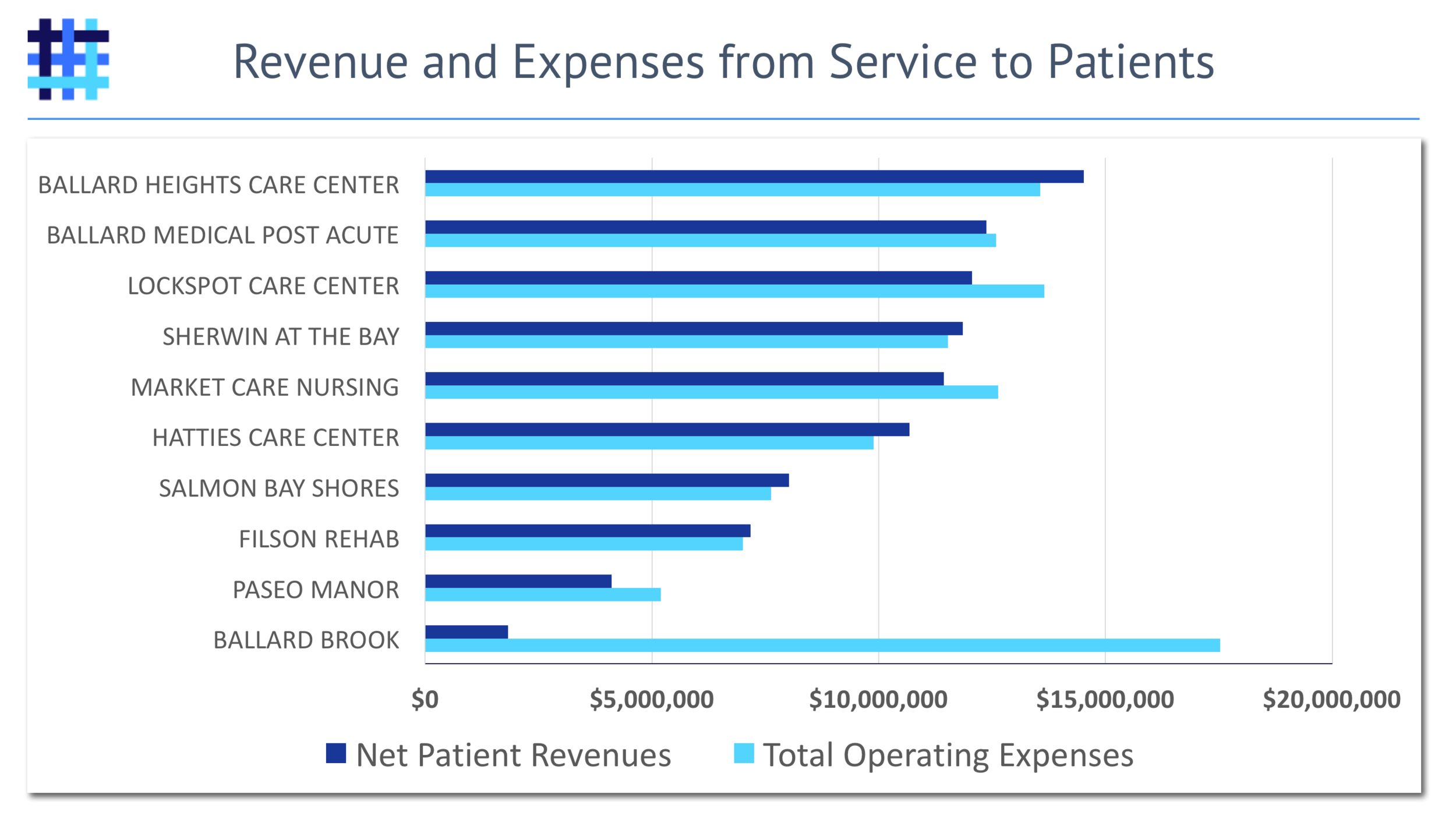 Nursing Home Revenue from Service to Patients and Expenses