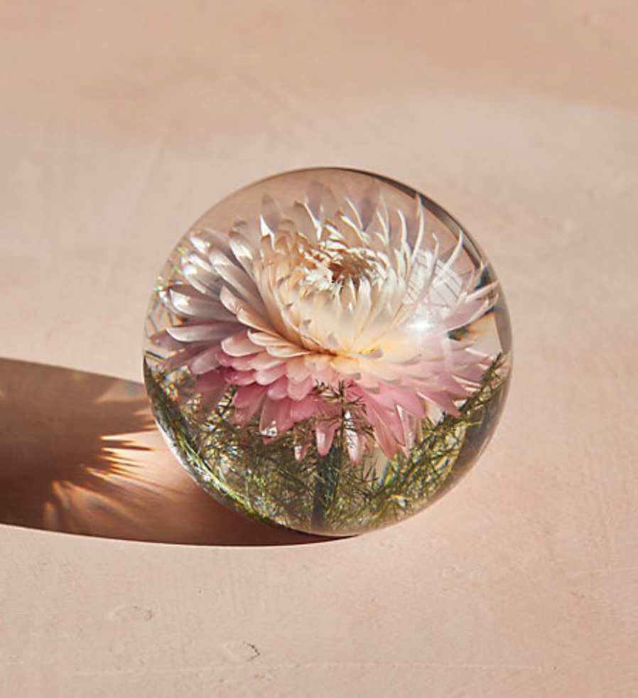 Screen Shot 2022-04-12 at 1.19.04 PM.png