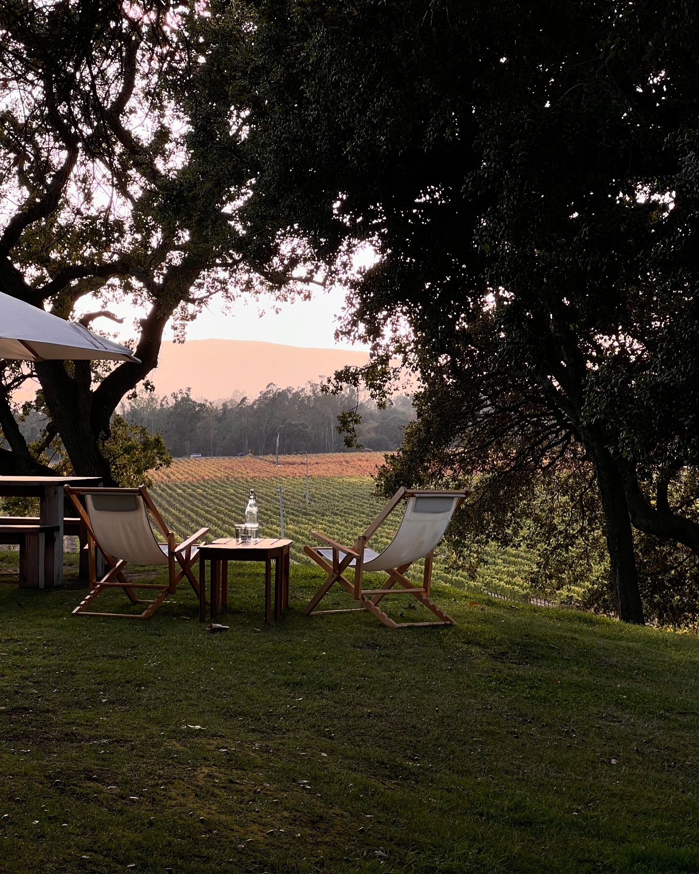 Quick jaunt to wine country before the holidays 🌾🍂🌿🍇🧺