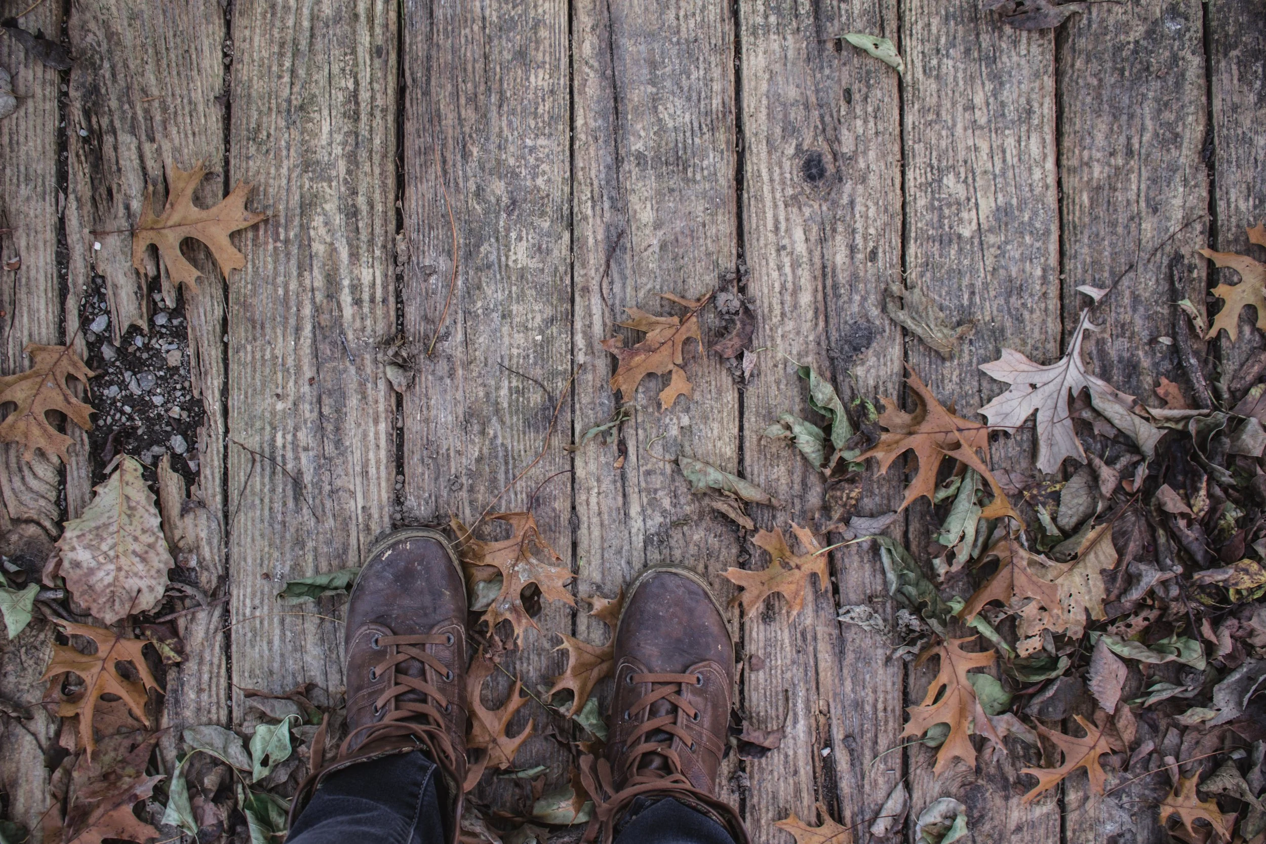 kelli-tungay-460336-unsplash.jpg
