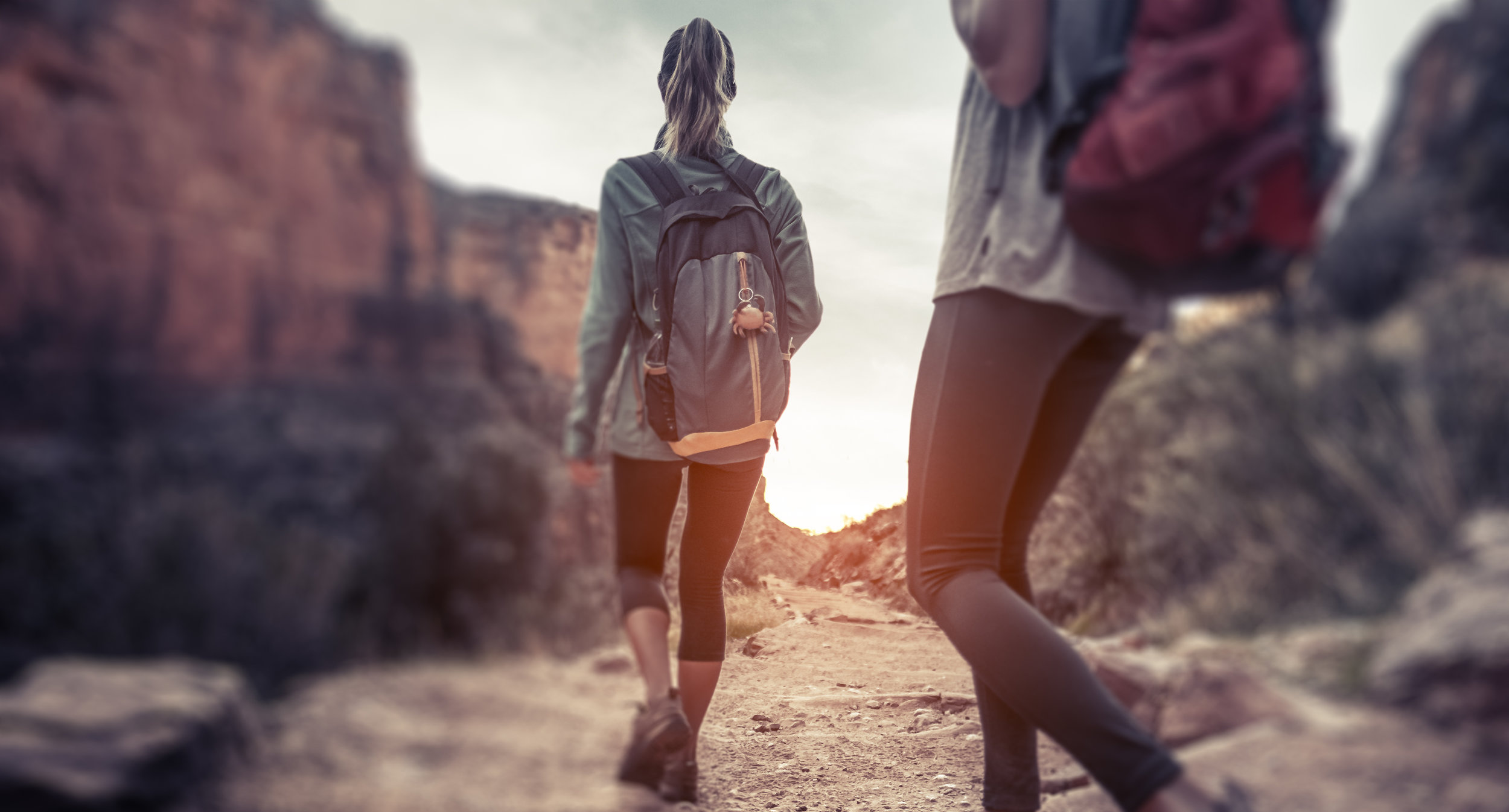 AdobeStock_132040115.jpeg