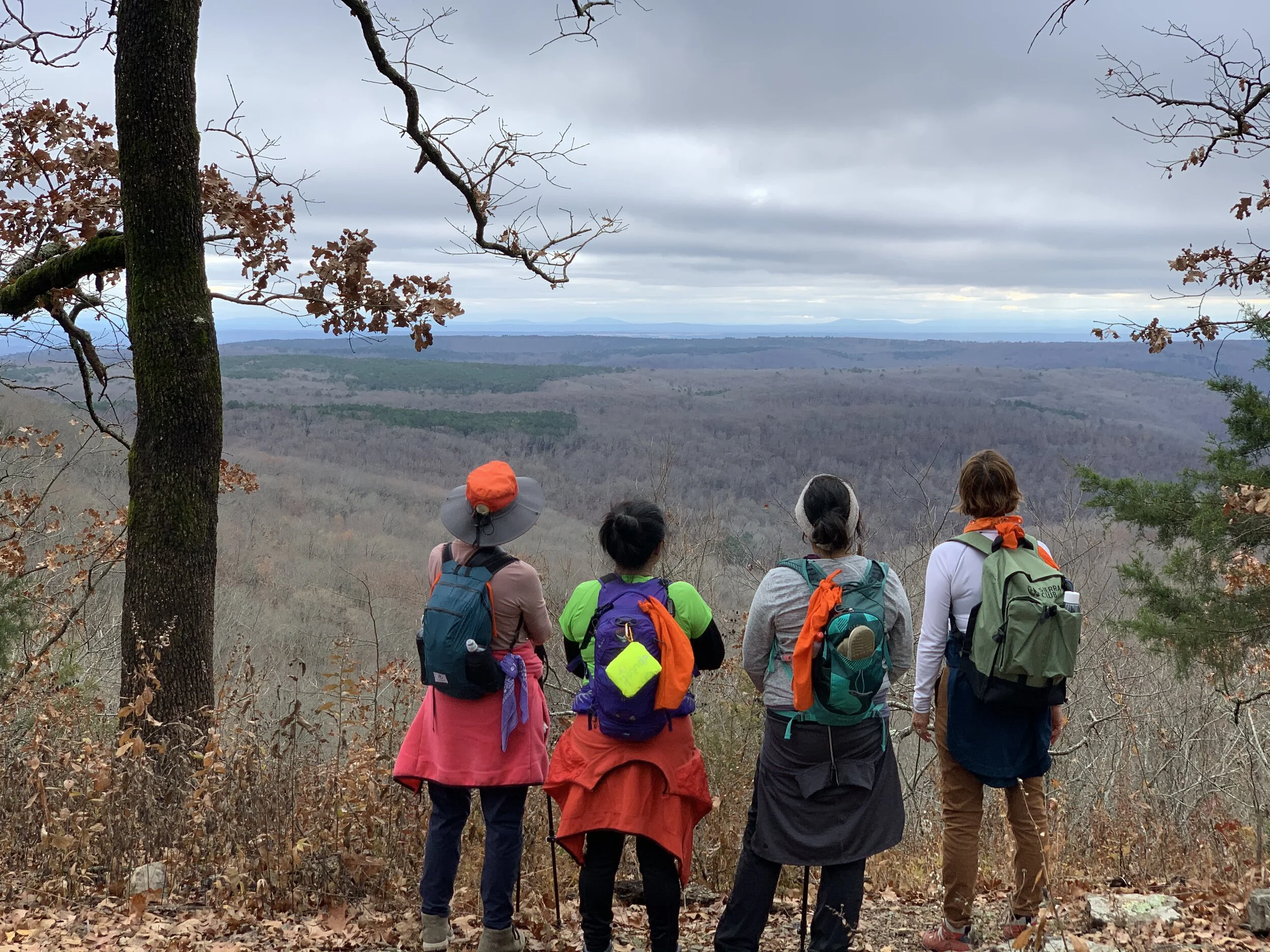 ozark highlands trail sections