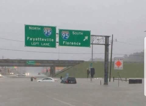 florence i95.jpeg