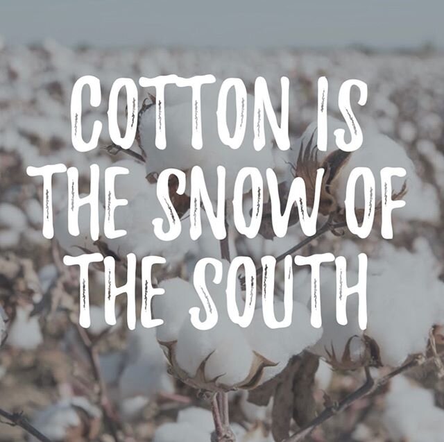 In the #south, we can enjoy all four #seasons in the same week! Today #mothernature chose #winter!! No #snowday here, but we&rsquo;ll take 35 degrees ❄️ ☀️